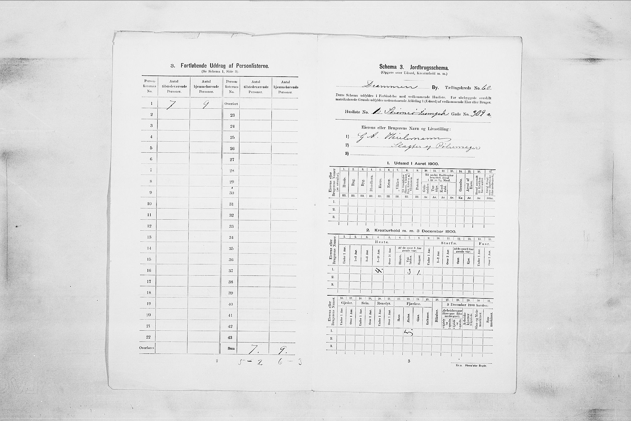 RA, 1900 census for Drammen, 1900, p. 10386