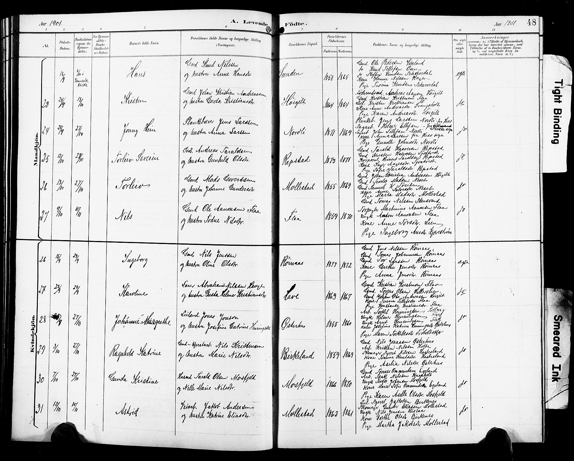 Birkenes sokneprestkontor, SAK/1111-0004/F/Fb/L0004: Parish register (copy) no. B 4, 1893-1930, p. 48