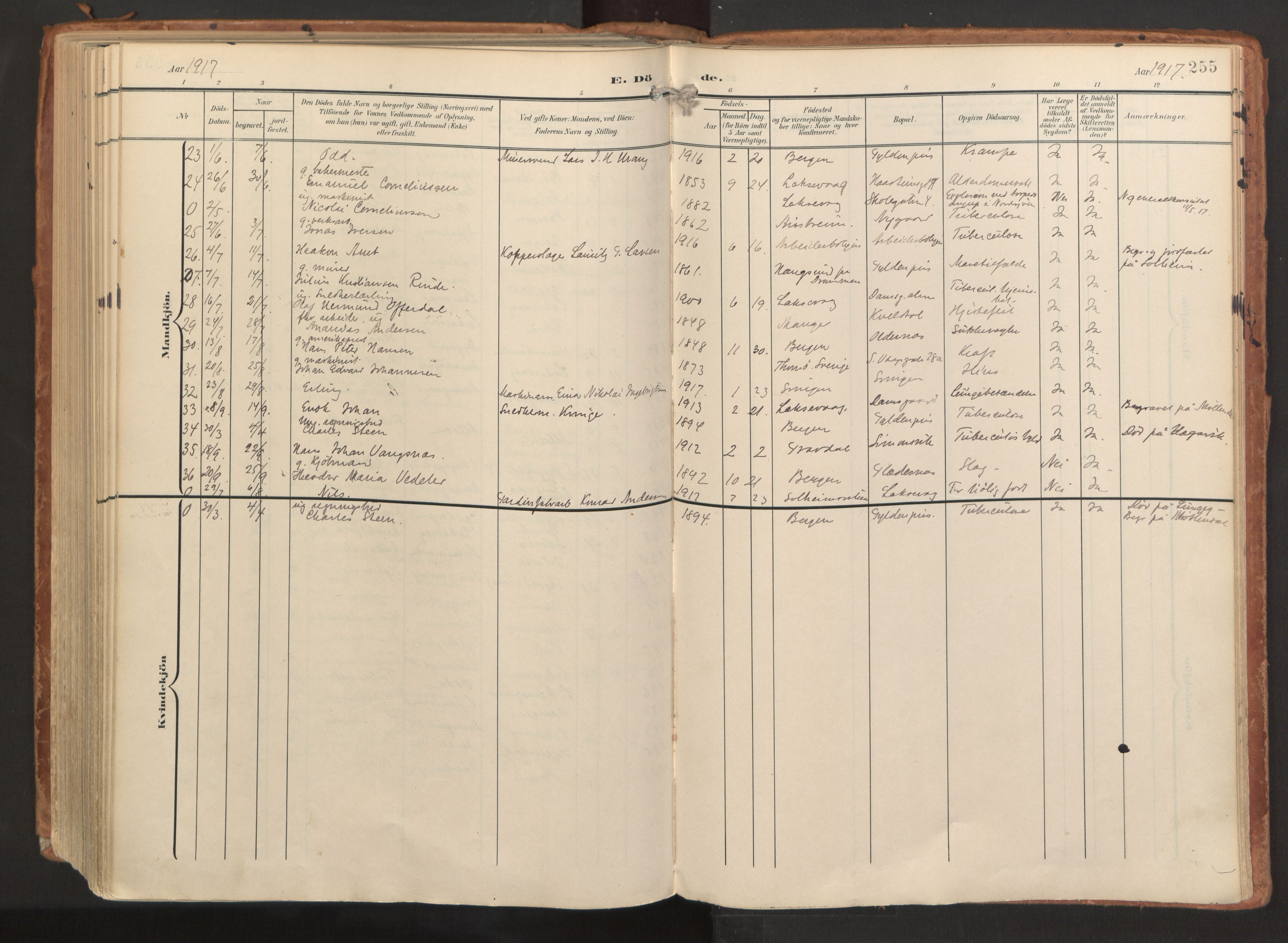 Laksevåg Sokneprestembete, AV/SAB-A-76501/H/Ha/Haa/Haaa/L0001: Parish register (official) no. A 1, 1903-1917, p. 255