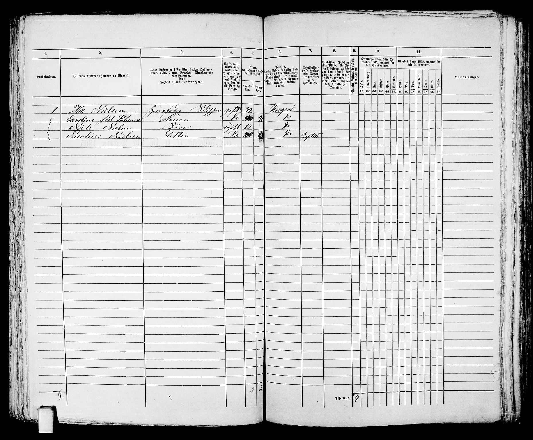 RA, 1865 census for Kragerø/Kragerø, 1865, p. 327