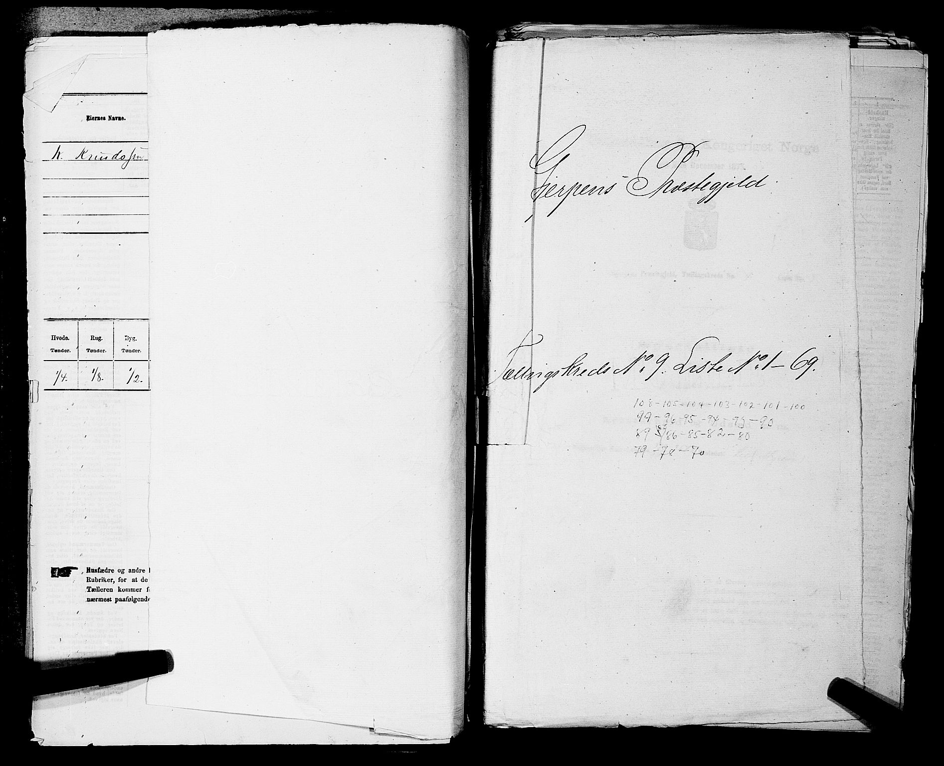 SAKO, 1875 census for 0812P Gjerpen, 1875, p. 1315