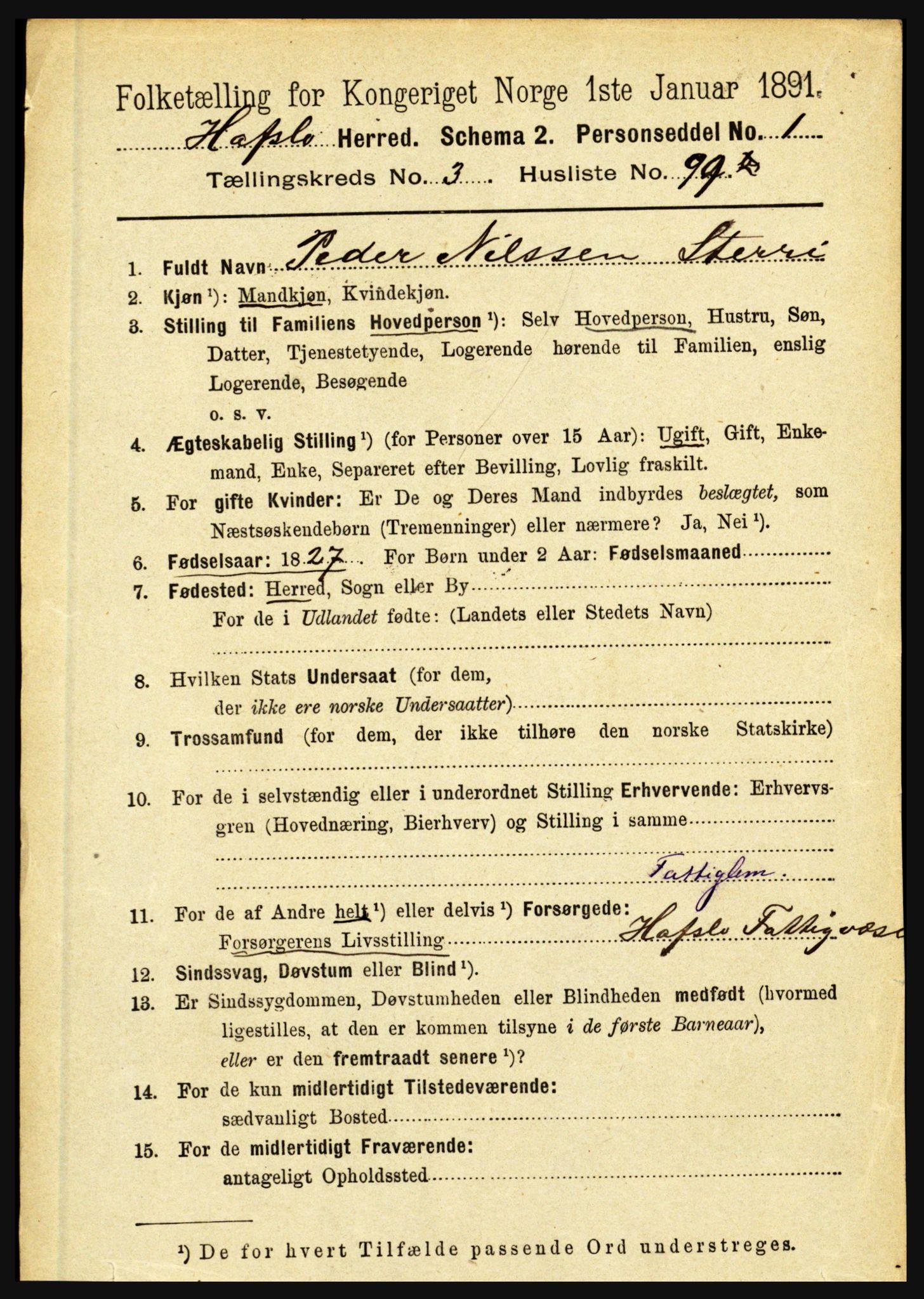 RA, 1891 census for 1425 Hafslo, 1891, p. 1513