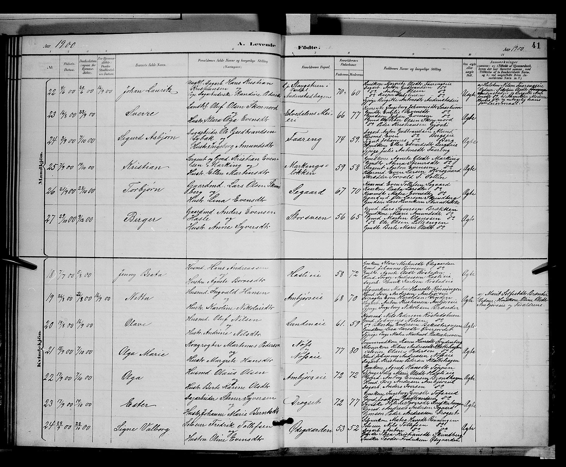Biri prestekontor, SAH/PREST-096/H/Ha/Hab/L0003: Parish register (copy) no. 3, 1892-1905, p. 41