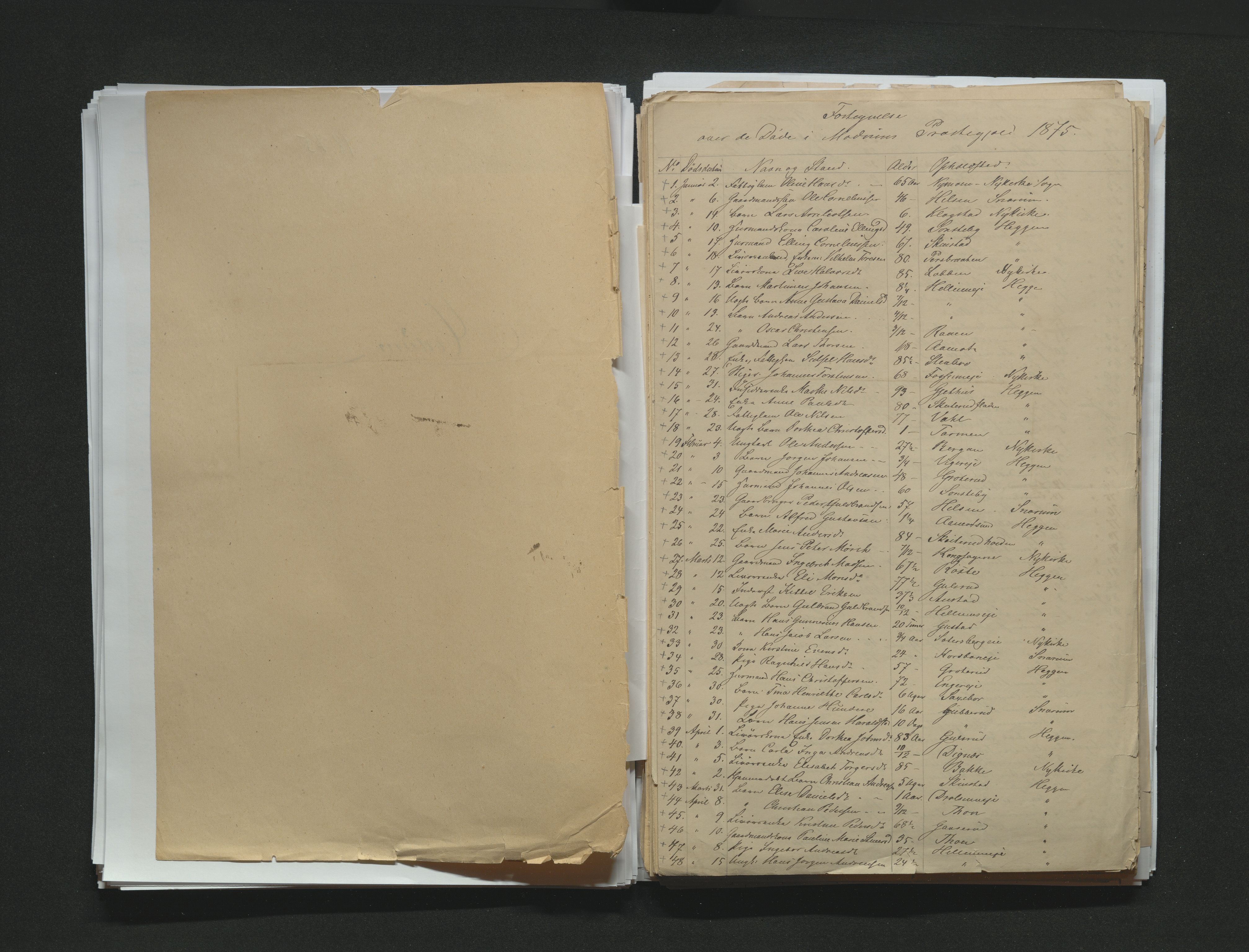 Eiker, Modum og Sigdal sorenskriveri, AV/SAKO-A-123/H/Ha/Hab/L0014: Dødsfallsmeldinger, 1874-1877, p. 232