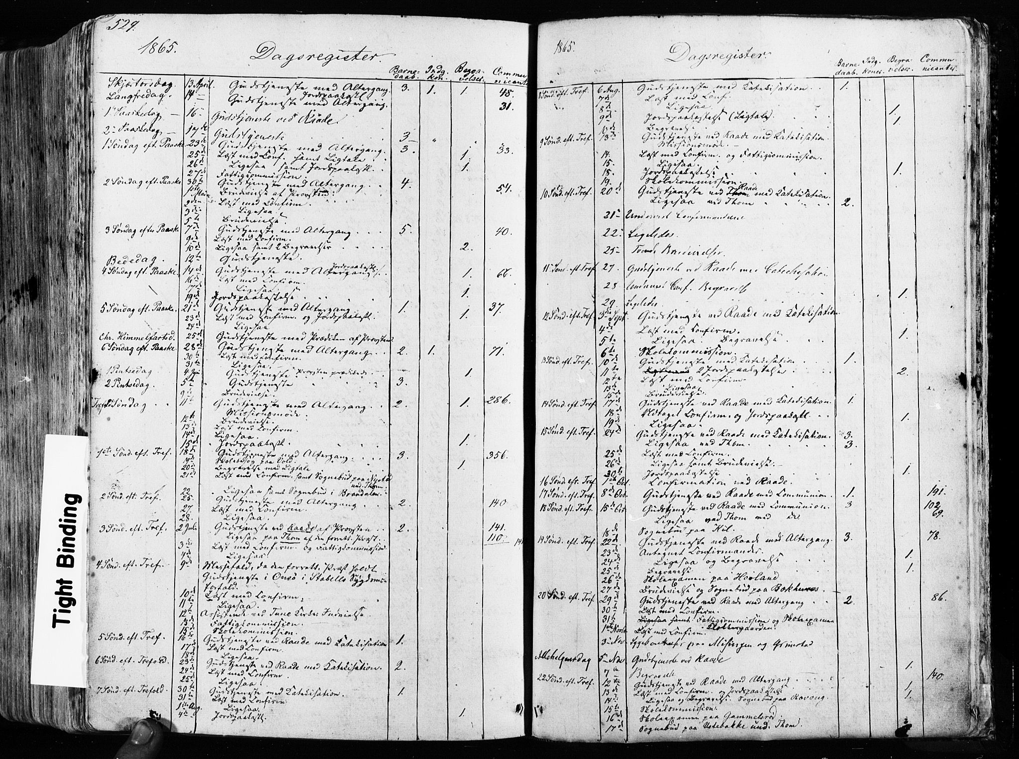 Råde prestekontor kirkebøker, AV/SAO-A-2009/F/Fa/L0006: Parish register (official) no. 6, 1854-1877, p. 529