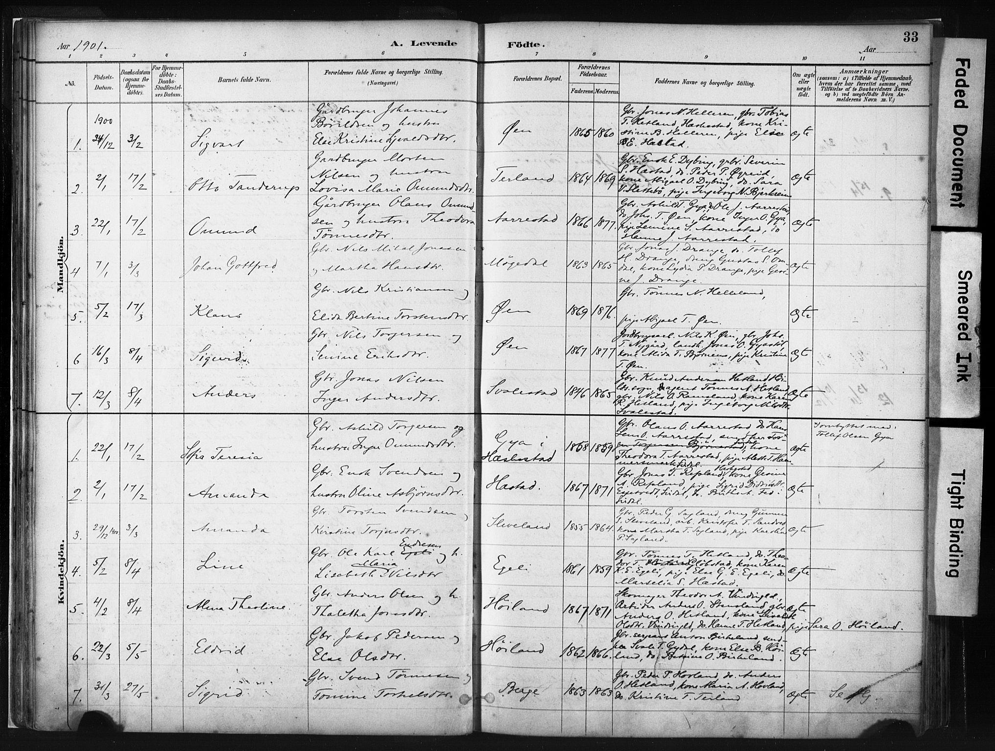 Helleland sokneprestkontor, AV/SAST-A-101810: Parish register (official) no. A 8, 1887-1907, p. 33