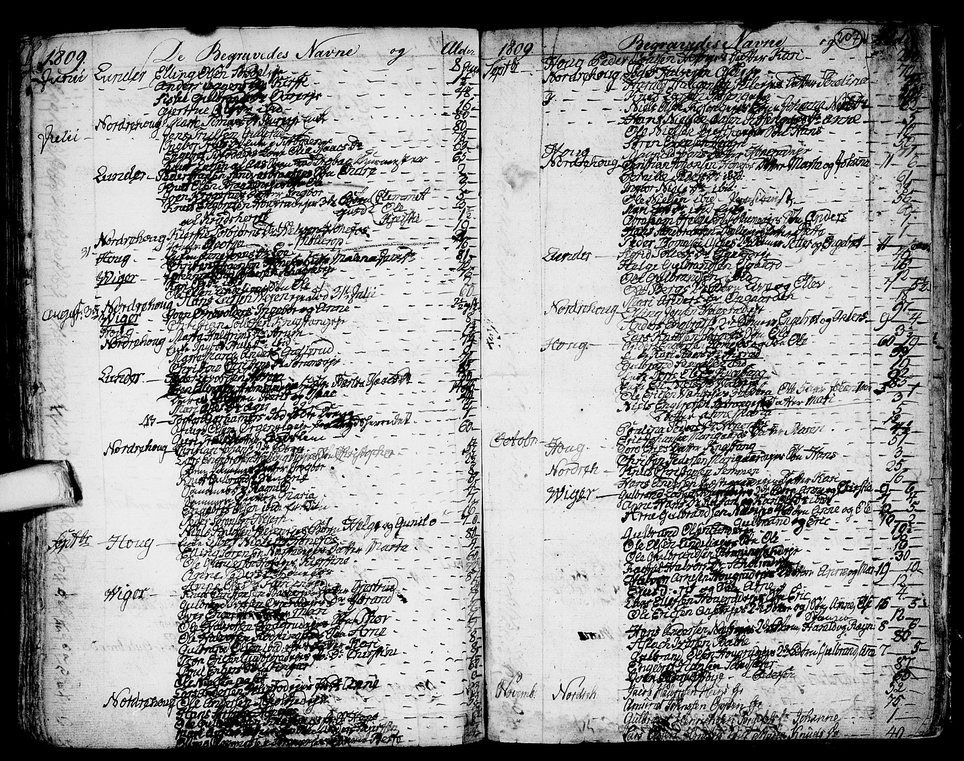 Norderhov kirkebøker, AV/SAKO-A-237/F/Fa/L0006: Parish register (official) no. 6, 1789-1811, p. 207