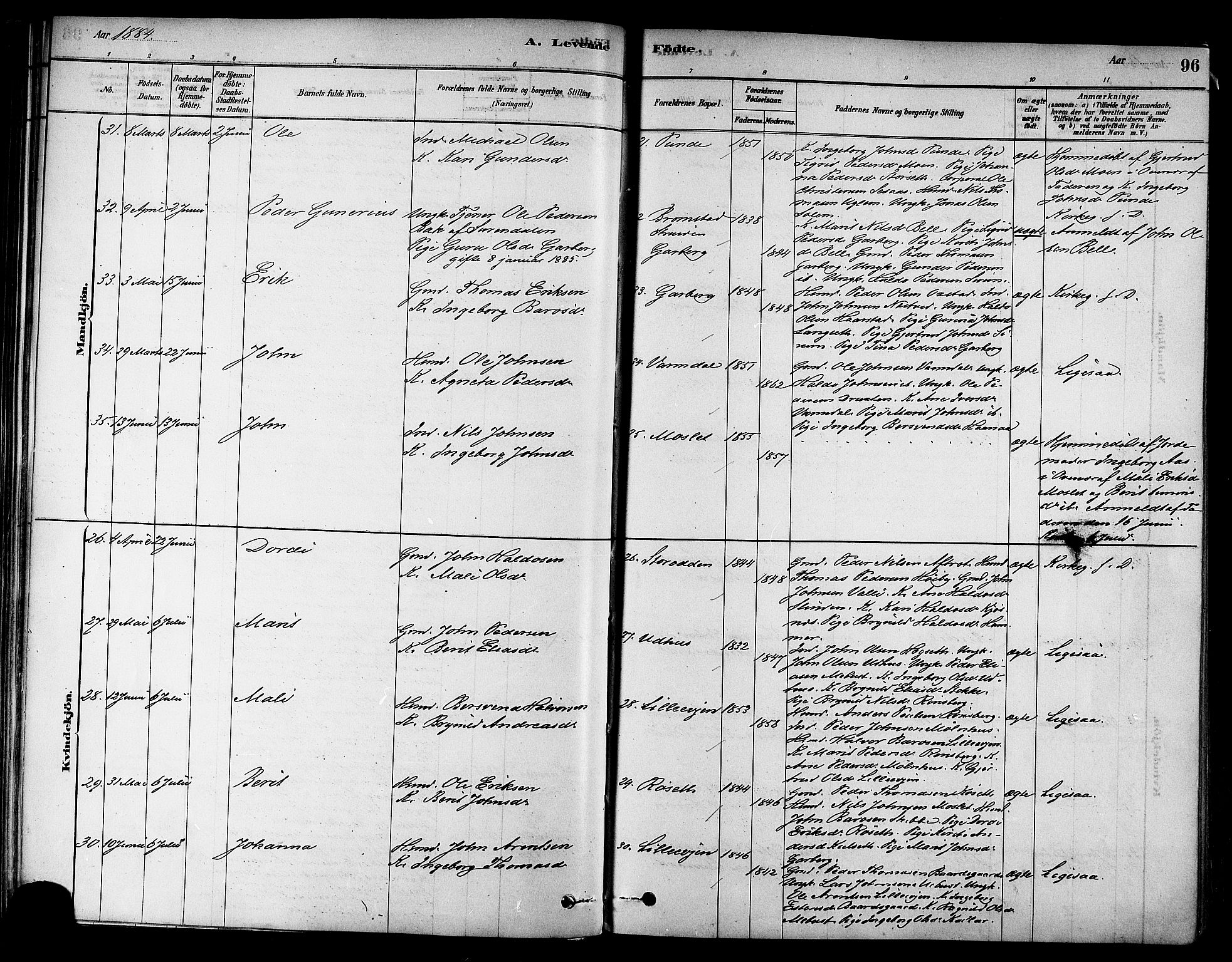 Ministerialprotokoller, klokkerbøker og fødselsregistre - Sør-Trøndelag, AV/SAT-A-1456/695/L1148: Parish register (official) no. 695A08, 1878-1891, p. 96