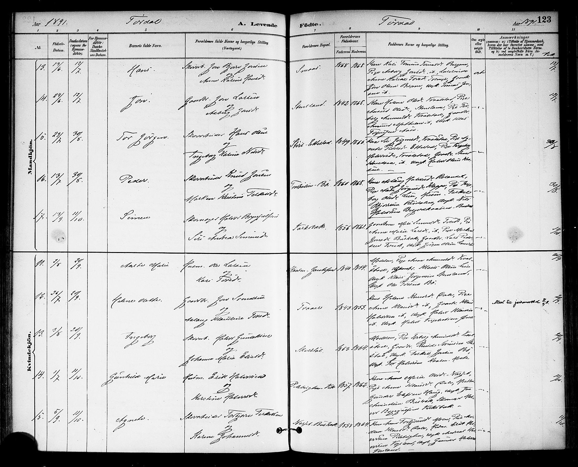 Drangedal kirkebøker, AV/SAKO-A-258/F/Fa/L0010: Parish register (official) no. 10 /2, 1885-1894, p. 123