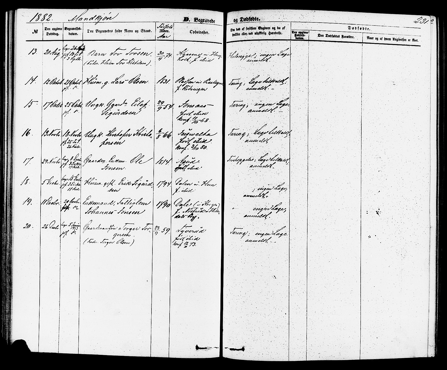 Sauherad kirkebøker, AV/SAKO-A-298/F/Fa/L0008: Parish register (official) no. I 8, 1873-1886, p. 231