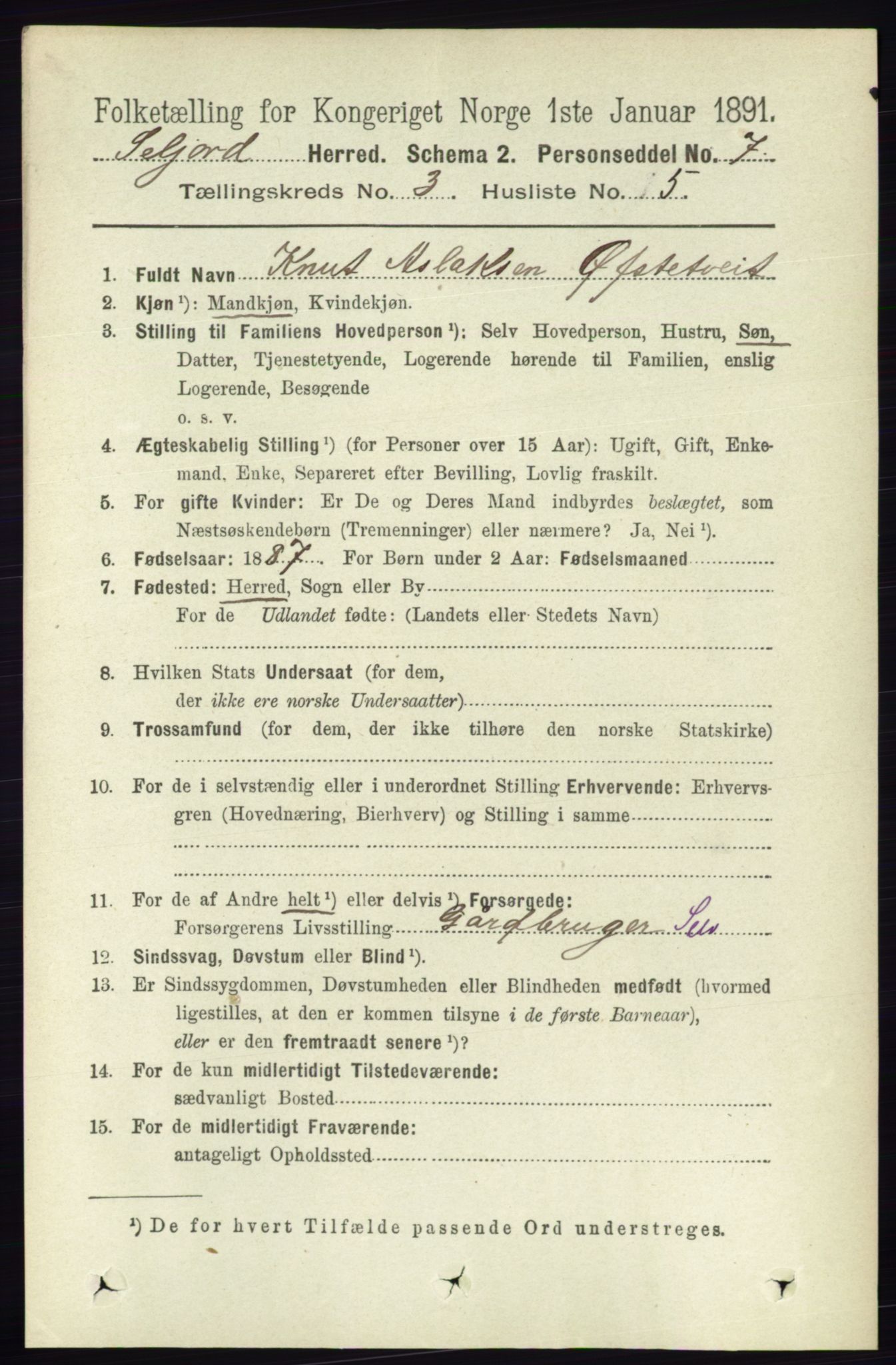 RA, 1891 census for 0828 Seljord, 1891, p. 1004