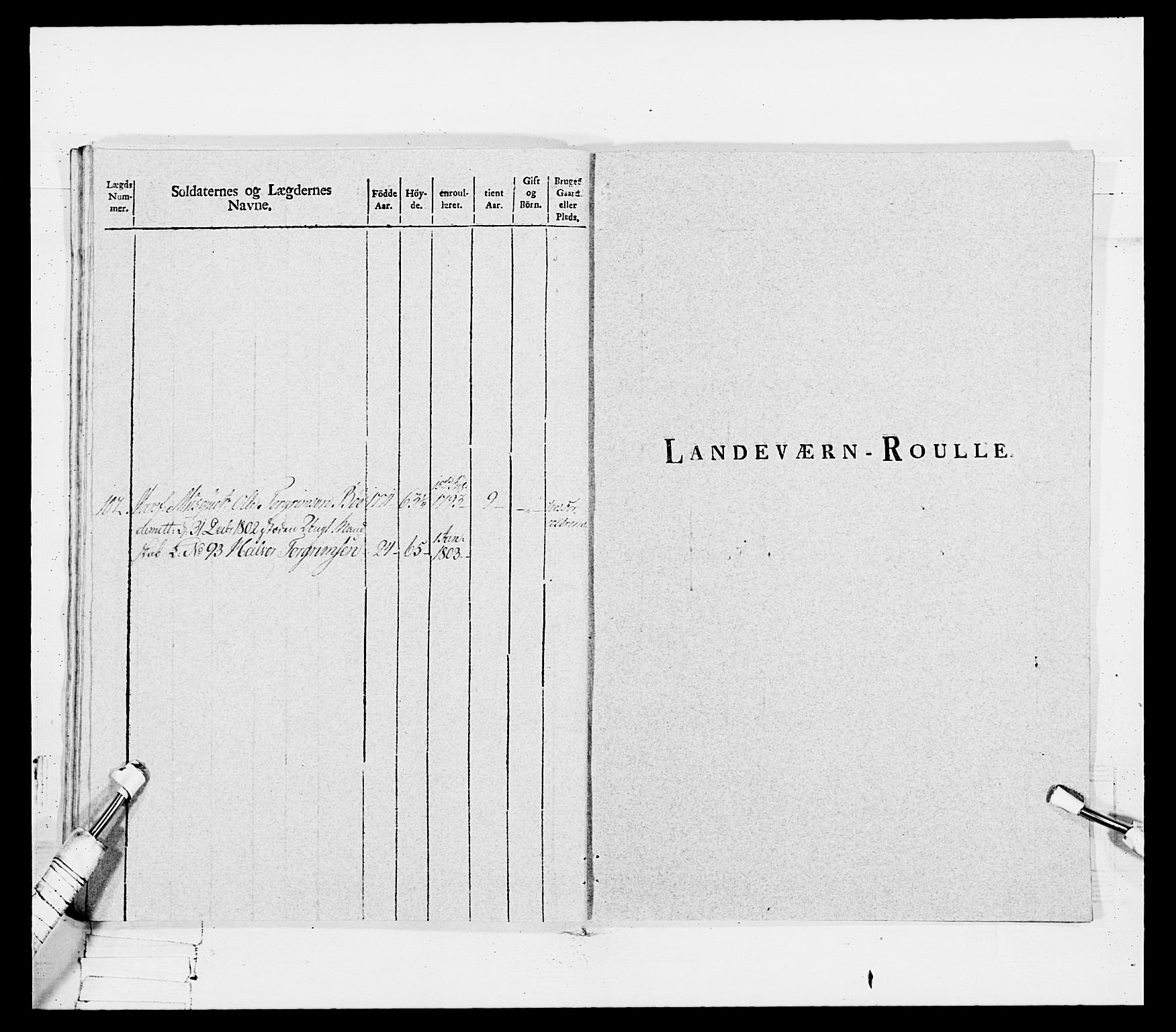 Generalitets- og kommissariatskollegiet, Det kongelige norske kommissariatskollegium, RA/EA-5420/E/Eh/L0114: Telemarkske nasjonale infanteriregiment, 1789-1802, p. 348