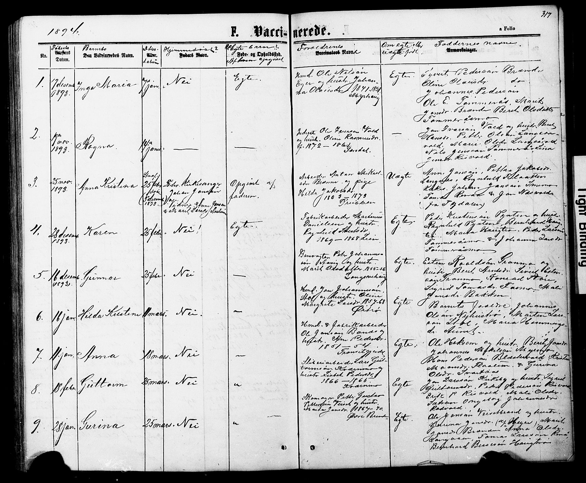 Ministerialprotokoller, klokkerbøker og fødselsregistre - Nord-Trøndelag, AV/SAT-A-1458/706/L0049: Parish register (copy) no. 706C01, 1864-1895, p. 317