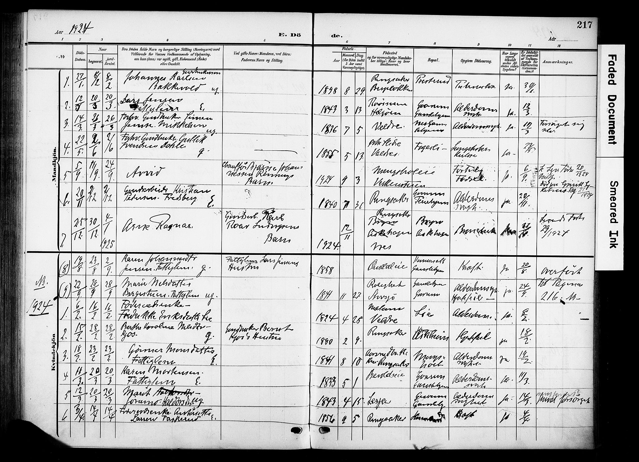 Nes prestekontor, Hedmark, SAH/PREST-020/K/Ka/L0013: Parish register (official) no. 13, 1906-1924, p. 217