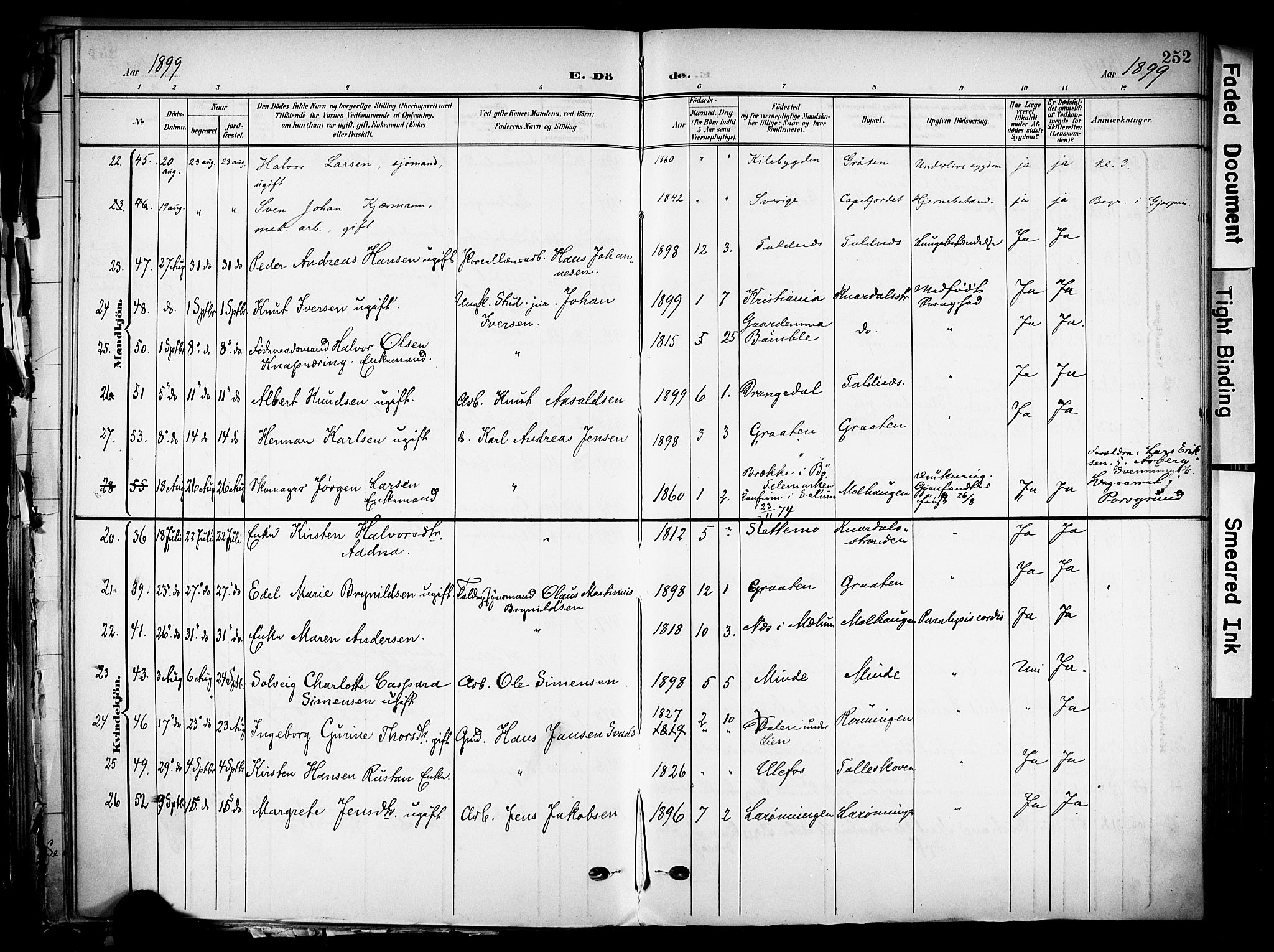 Solum kirkebøker, SAKO/A-306/F/Fa/L0011: Parish register (official) no. I 11, 1898-1909, p. 252