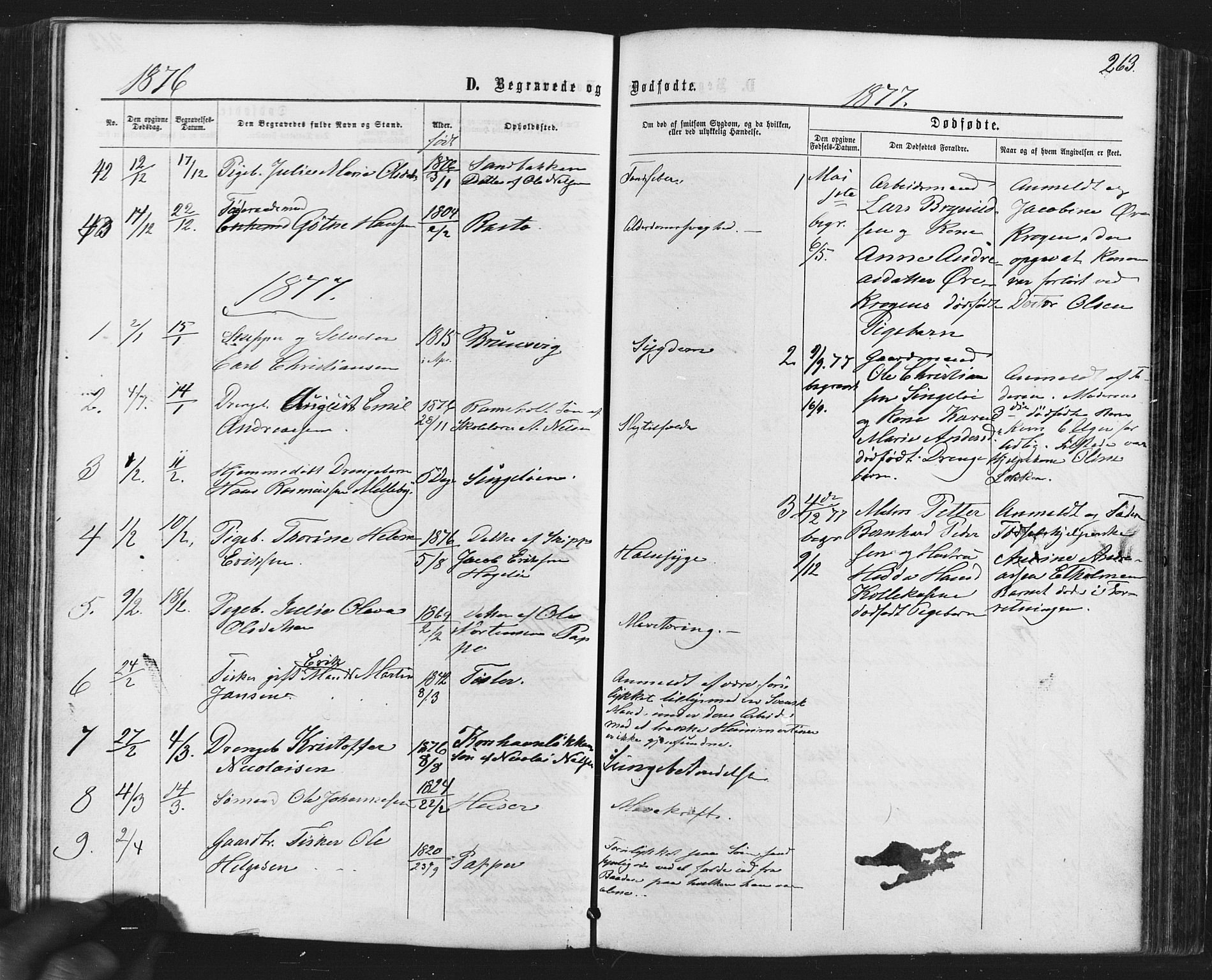 Hvaler prestekontor Kirkebøker, AV/SAO-A-2001/F/Fa/L0007: Parish register (official) no. I 7, 1864-1878, p. 263