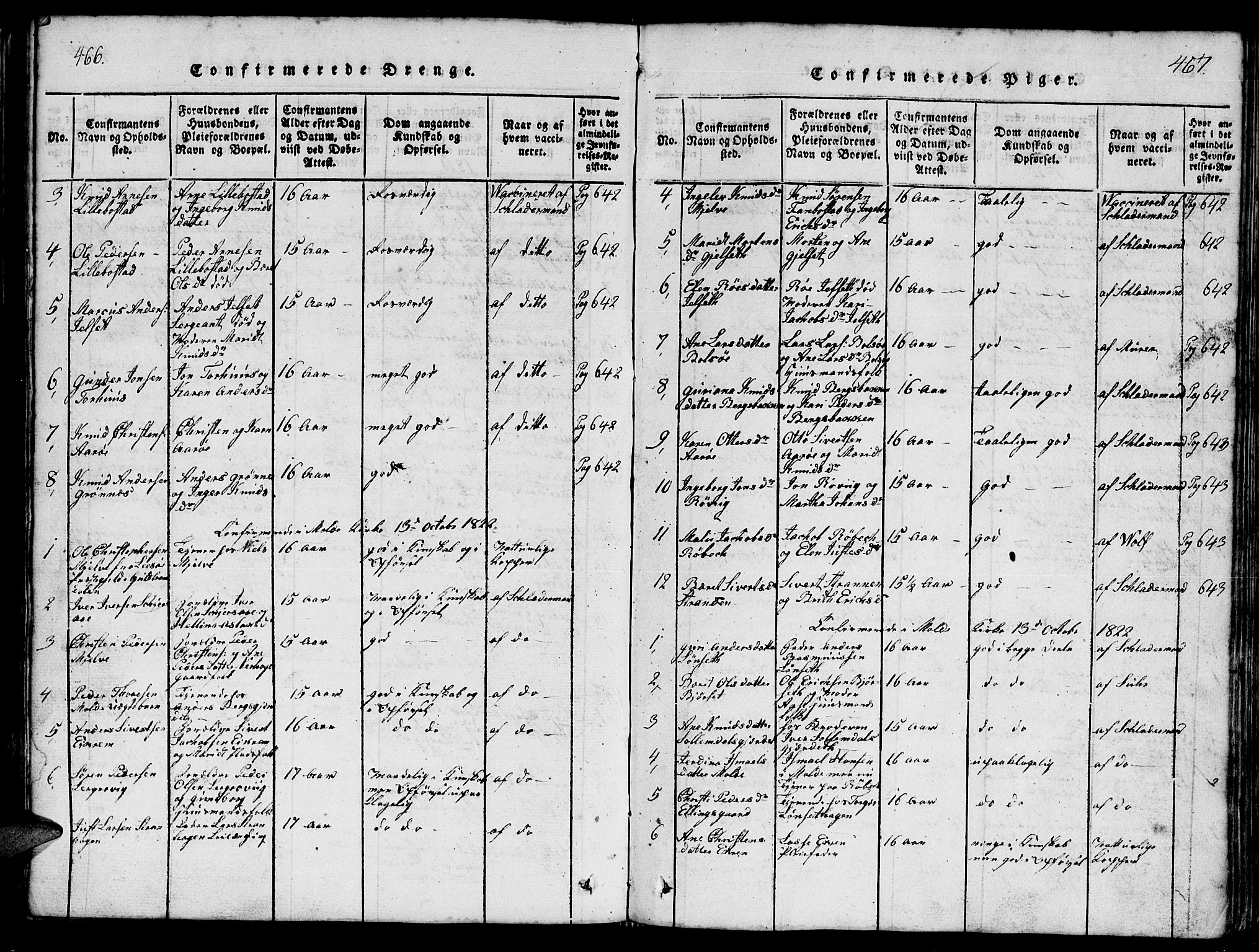 Ministerialprotokoller, klokkerbøker og fødselsregistre - Møre og Romsdal, SAT/A-1454/555/L0665: Parish register (copy) no. 555C01, 1818-1868, p. 466-467