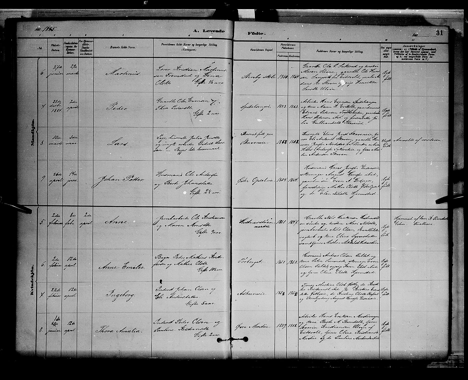 Stange prestekontor, AV/SAH-PREST-002/L/L0008: Parish register (copy) no. 8, 1882-1895, p. 31