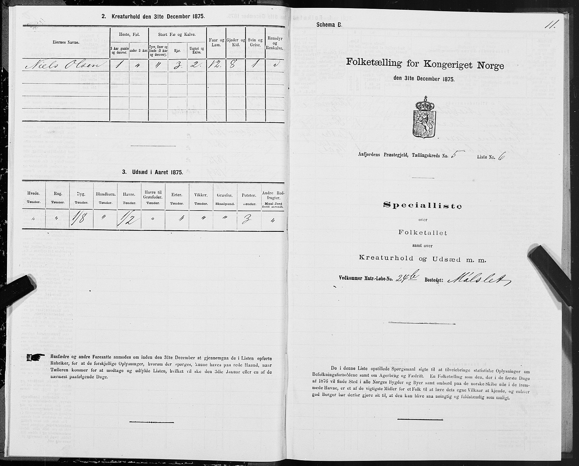 SAT, 1875 census for 1630P Aafjorden, 1875, p. 3011