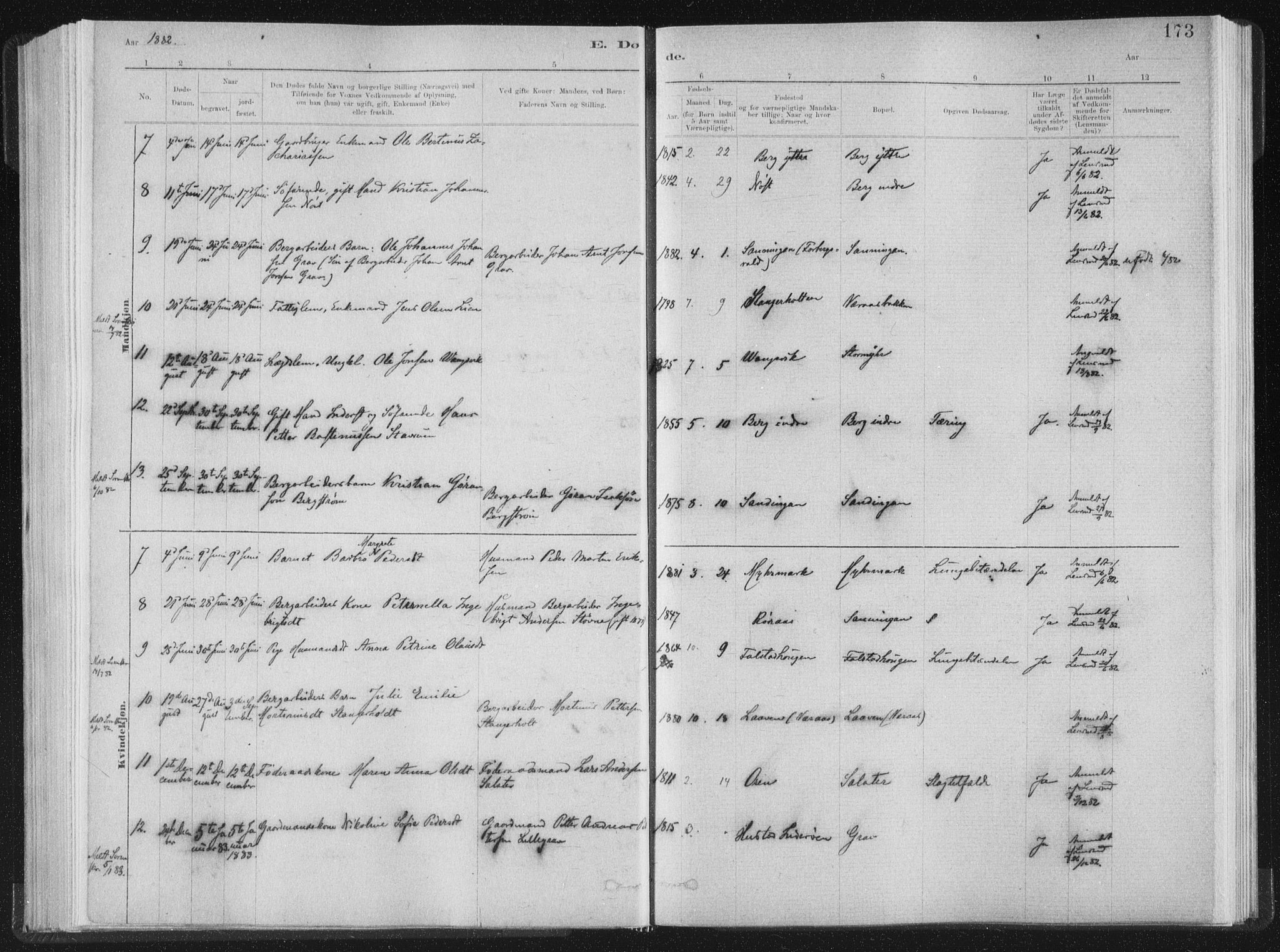 Ministerialprotokoller, klokkerbøker og fødselsregistre - Nord-Trøndelag, AV/SAT-A-1458/722/L0220: Parish register (official) no. 722A07, 1881-1908, p. 173