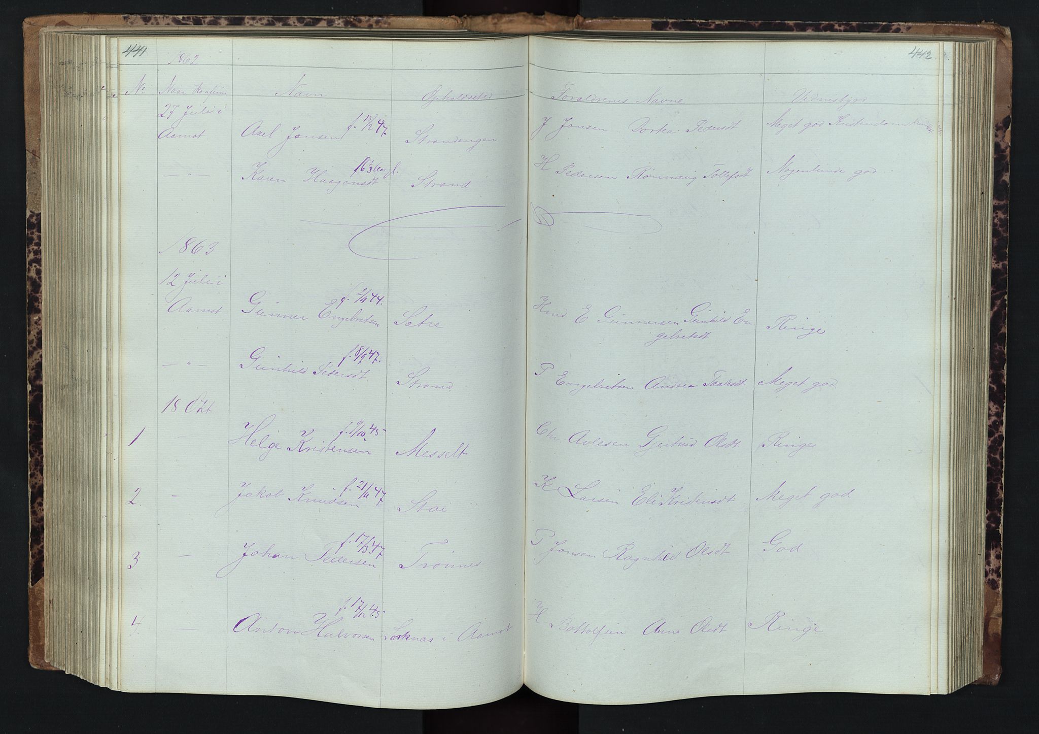 Stor-Elvdal prestekontor, SAH/PREST-052/H/Ha/Hab/L0001: Parish register (copy) no. 1 /1, 1860-1894, p. 441-442
