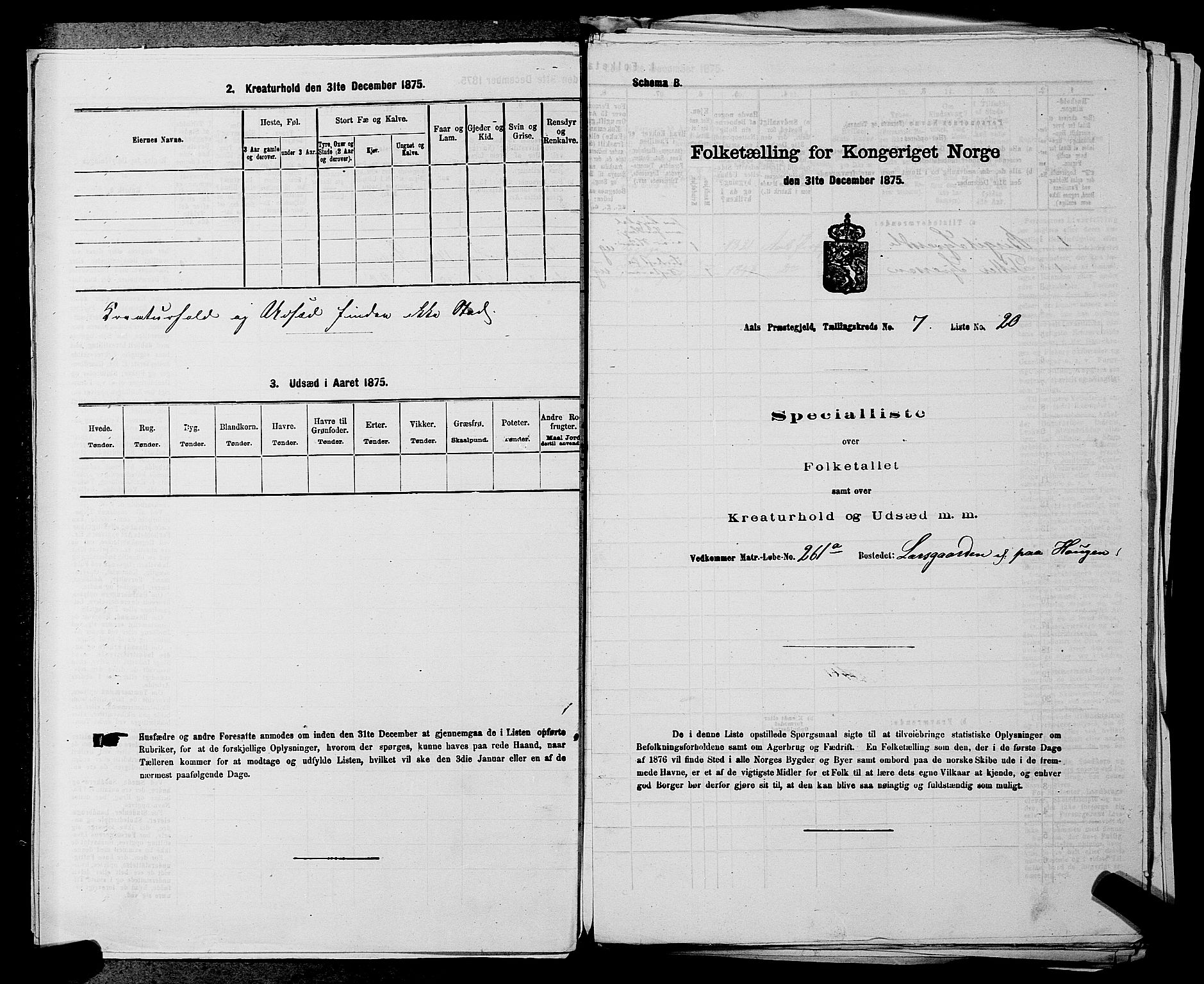 SAKO, 1875 census for 0619P Ål, 1875, p. 874