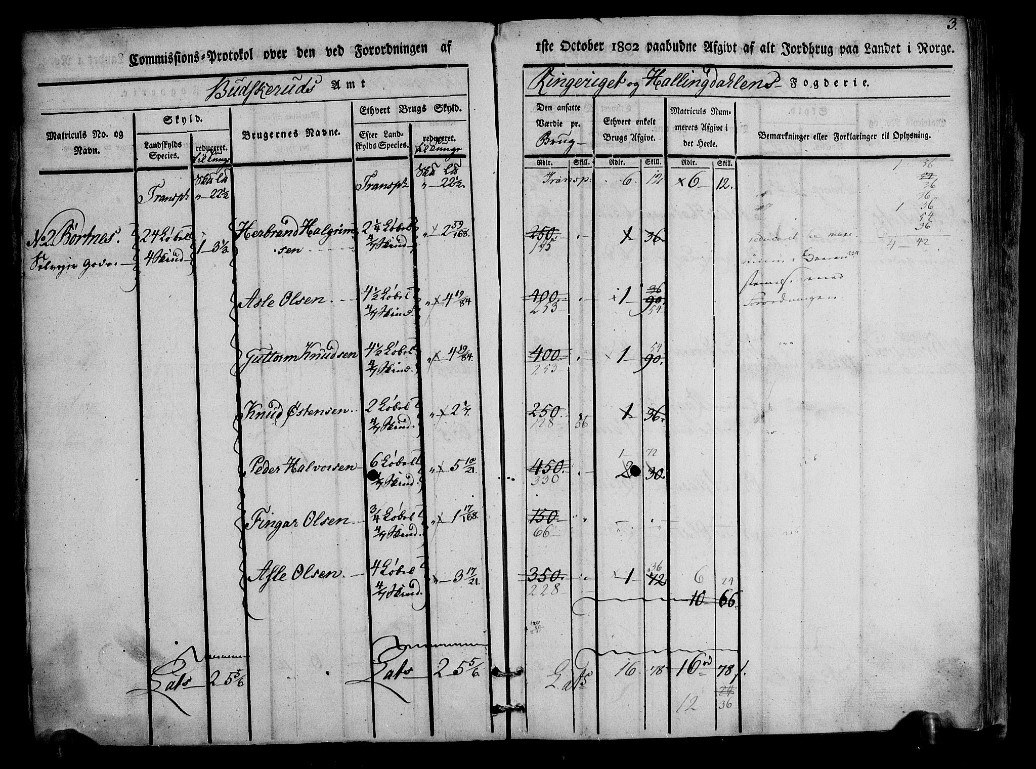 Rentekammeret inntil 1814, Realistisk ordnet avdeling, AV/RA-EA-4070/N/Ne/Nea/L0047: Ringerike og Hallingdal fogderi. Kommisjonsprotokoll for Nes prestegjeld, 1803, p. 4