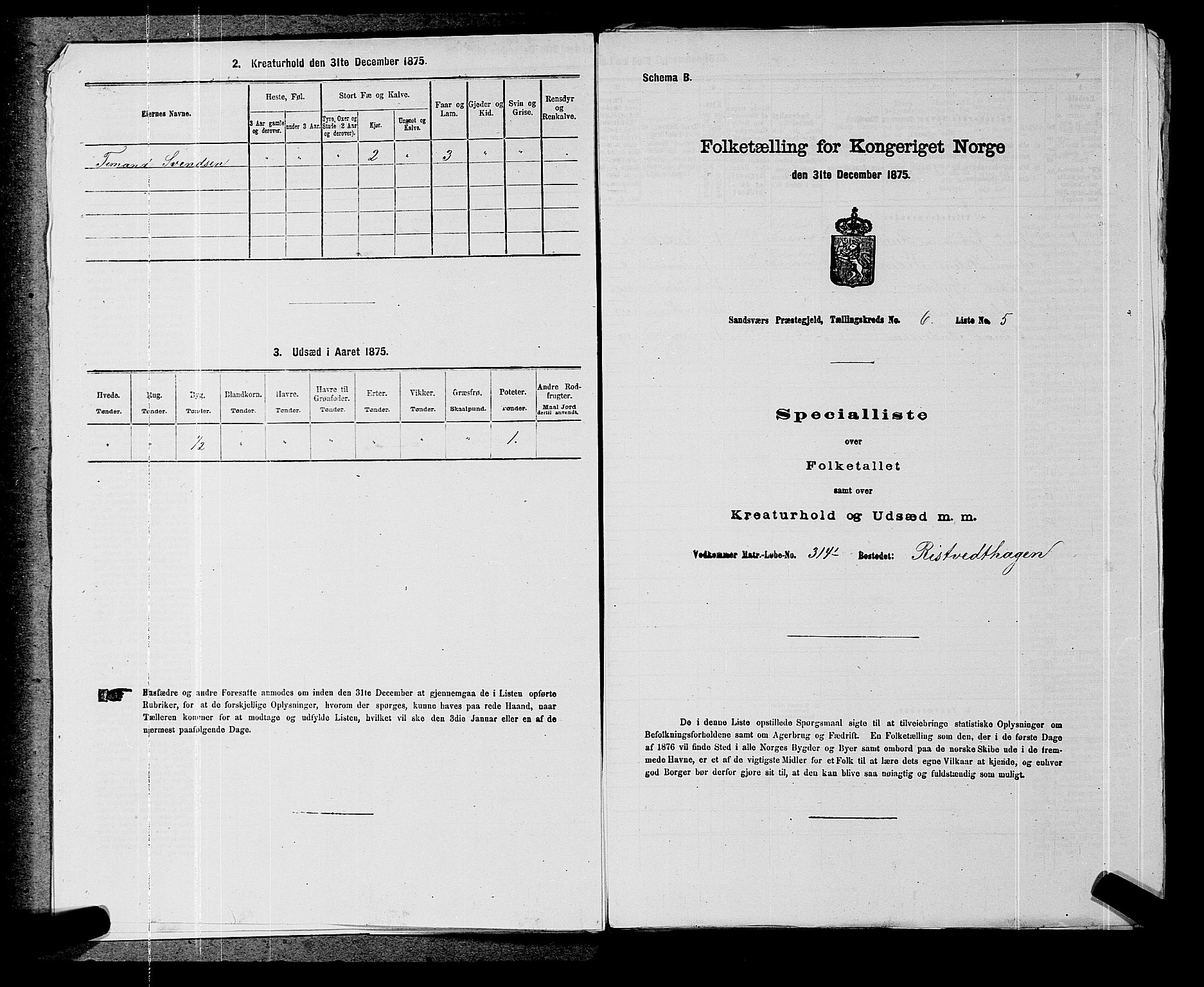 SAKO, 1875 census for 0629P Sandsvær, 1875, p. 1132