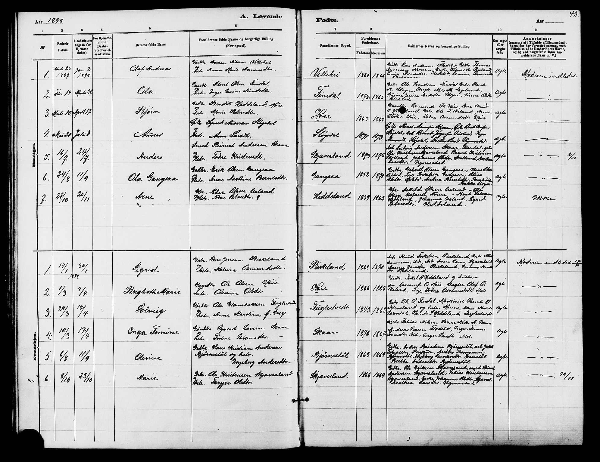 Holum sokneprestkontor, SAK/1111-0022/F/Fb/Fbc/L0003: Parish register (copy) no. B 3, 1882-1908, p. 43