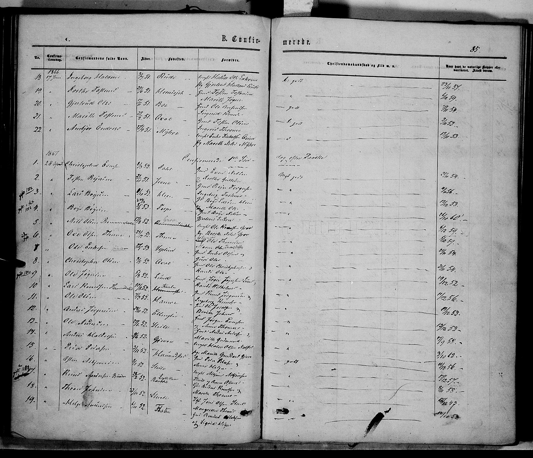 Vang prestekontor, Valdres, SAH/PREST-140/H/Ha/L0007: Parish register (official) no. 7, 1865-1881, p. 85