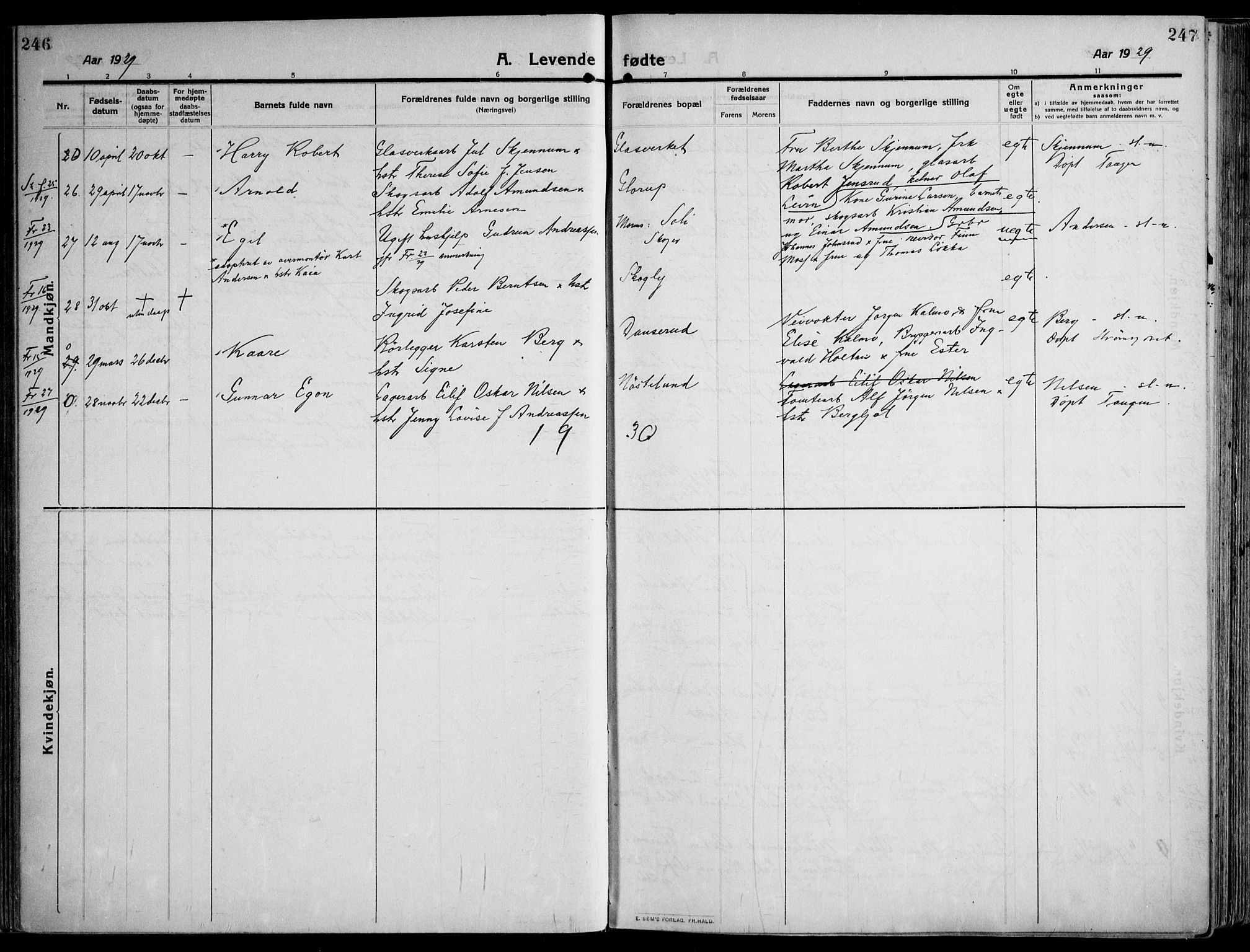 Skoger kirkebøker, AV/SAKO-A-59/F/Fa/L0007: Parish register (official) no. I 7, 1911-1936, p. 246-247