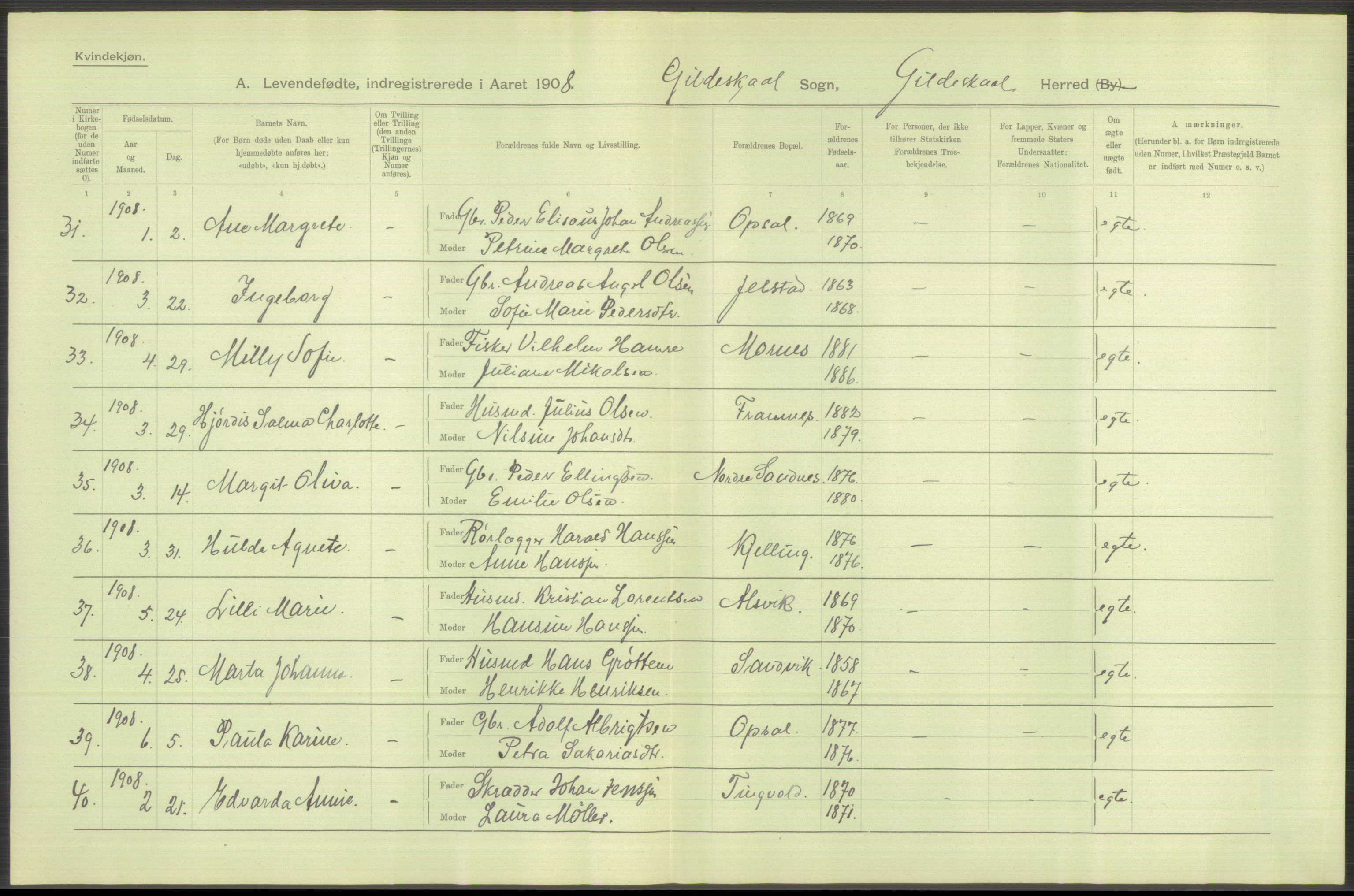 Statistisk sentralbyrå, Sosiodemografiske emner, Befolkning, AV/RA-S-2228/D/Df/Dfa/Dfaf/L0043: Nordlands amt: Levendefødte menn og kvinner. Bygder., 1908, p. 24