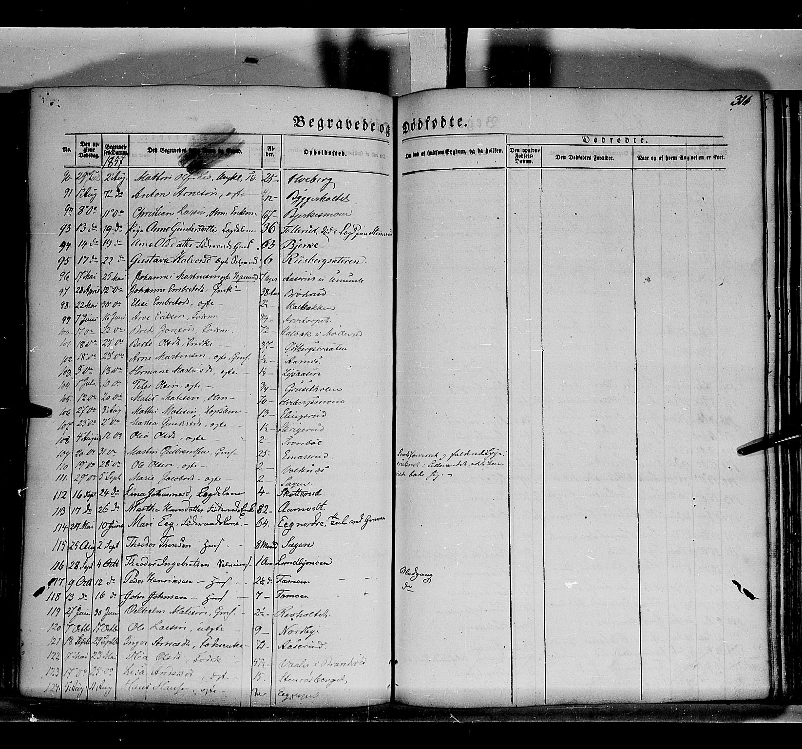 Grue prestekontor, AV/SAH-PREST-036/H/Ha/Haa/L0008: Parish register (official) no. 8, 1847-1858, p. 316