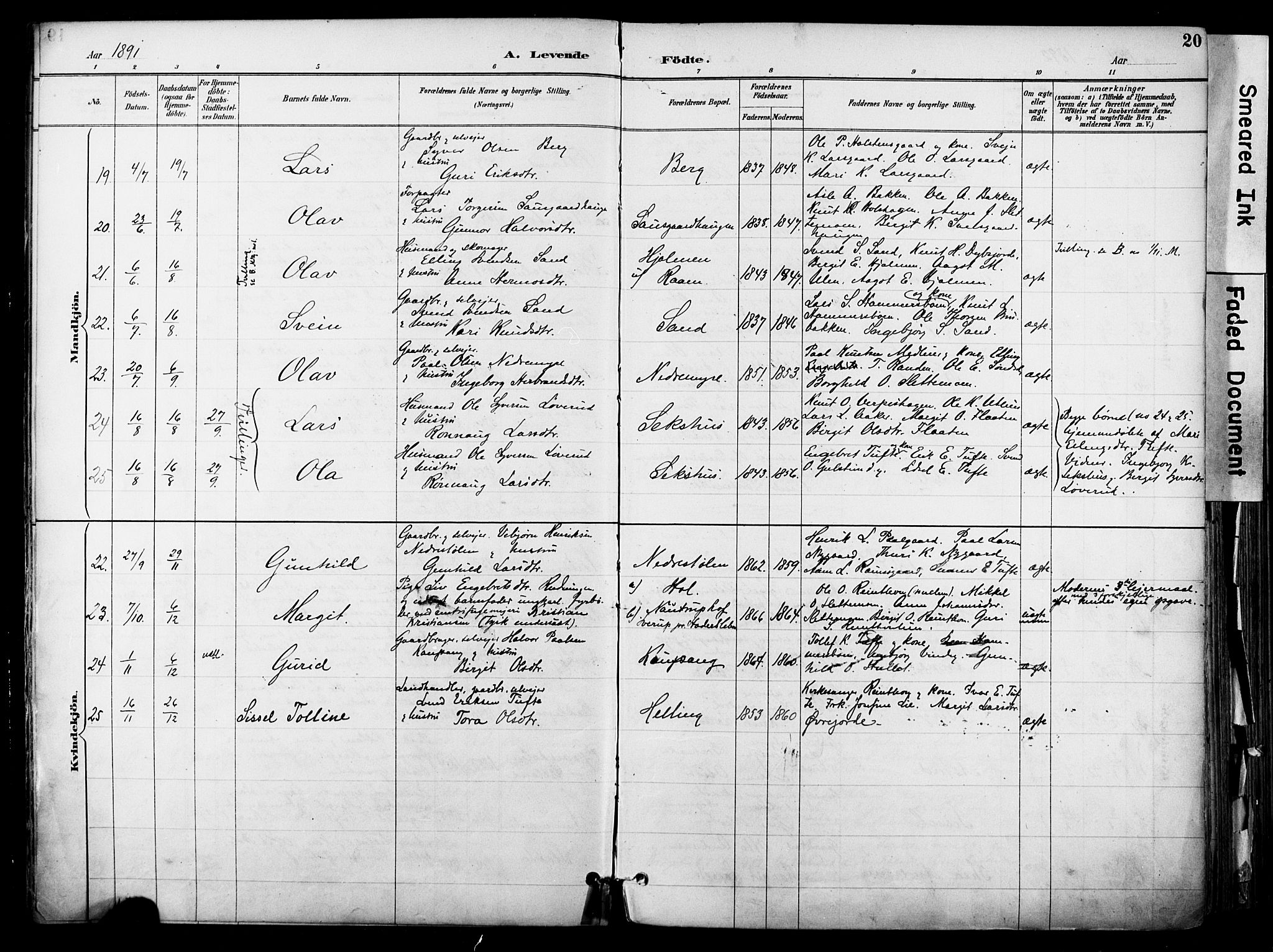 Hol kirkebøker, AV/SAKO-A-227/F/Fa/L0003: Parish register (official) no. I 3, 1887-1918, p. 20