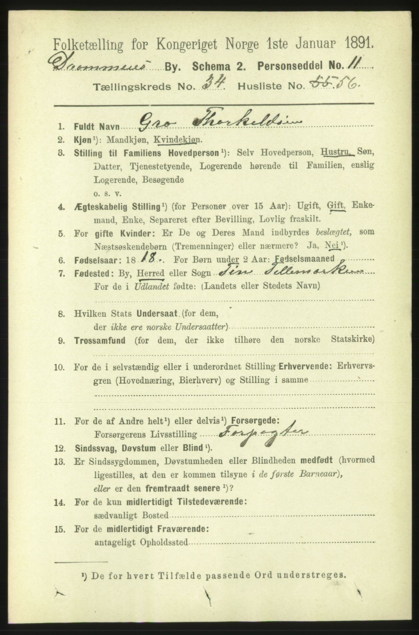 RA, 1891 census for 0602 Drammen, 1891, p. 21072