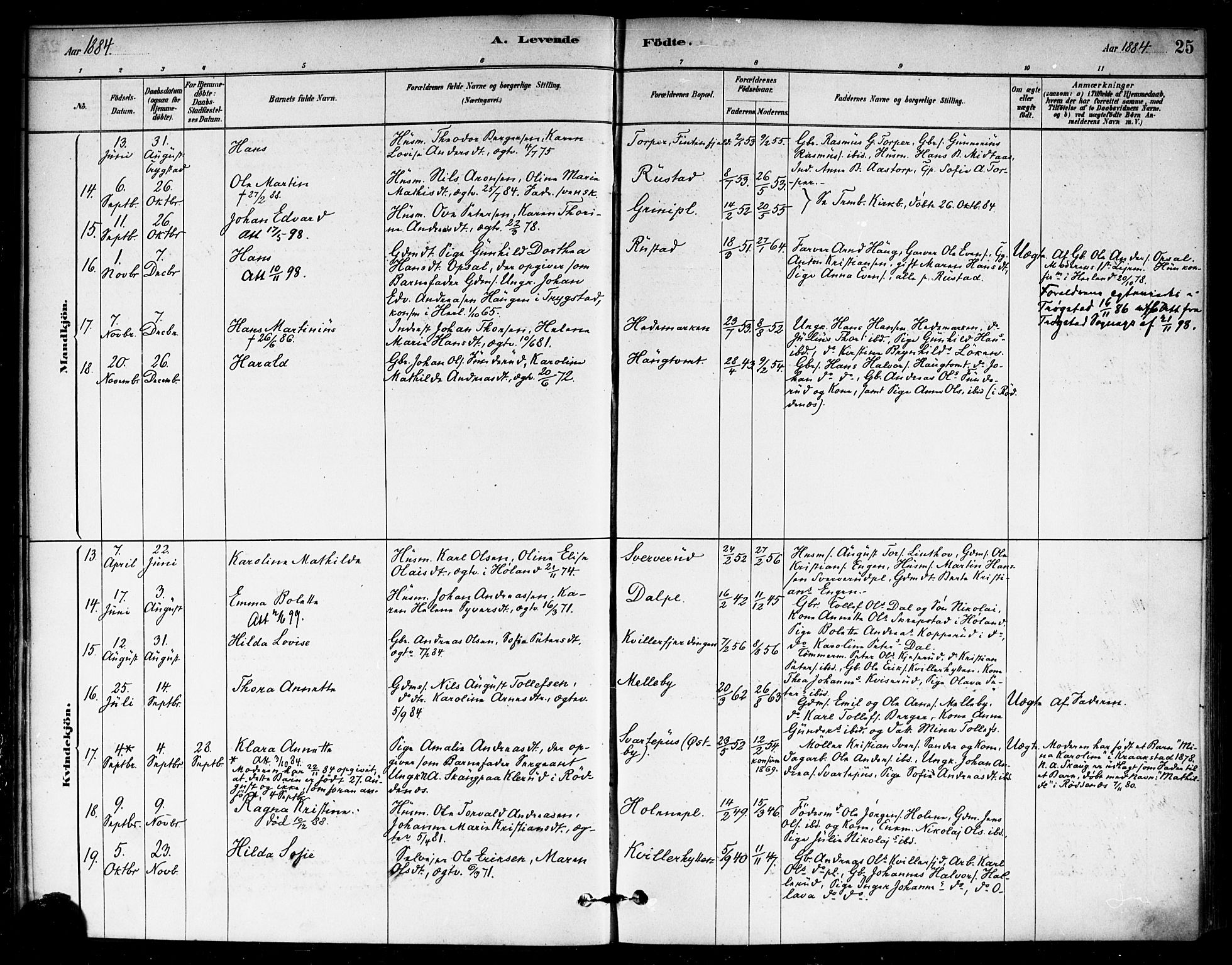 Eidsberg prestekontor Kirkebøker, AV/SAO-A-10905/F/Fb/L0001: Parish register (official) no. II 1, 1879-1900, p. 25