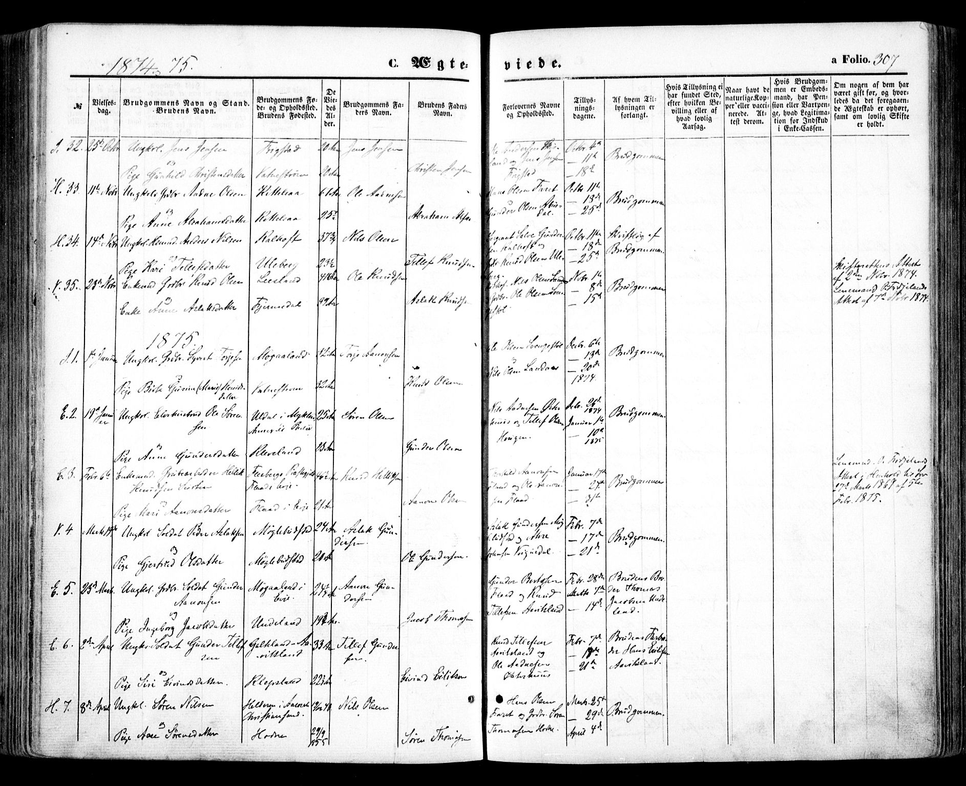 Evje sokneprestkontor, AV/SAK-1111-0008/F/Fa/Faa/L0006: Parish register (official) no. A 6, 1866-1884, p. 307