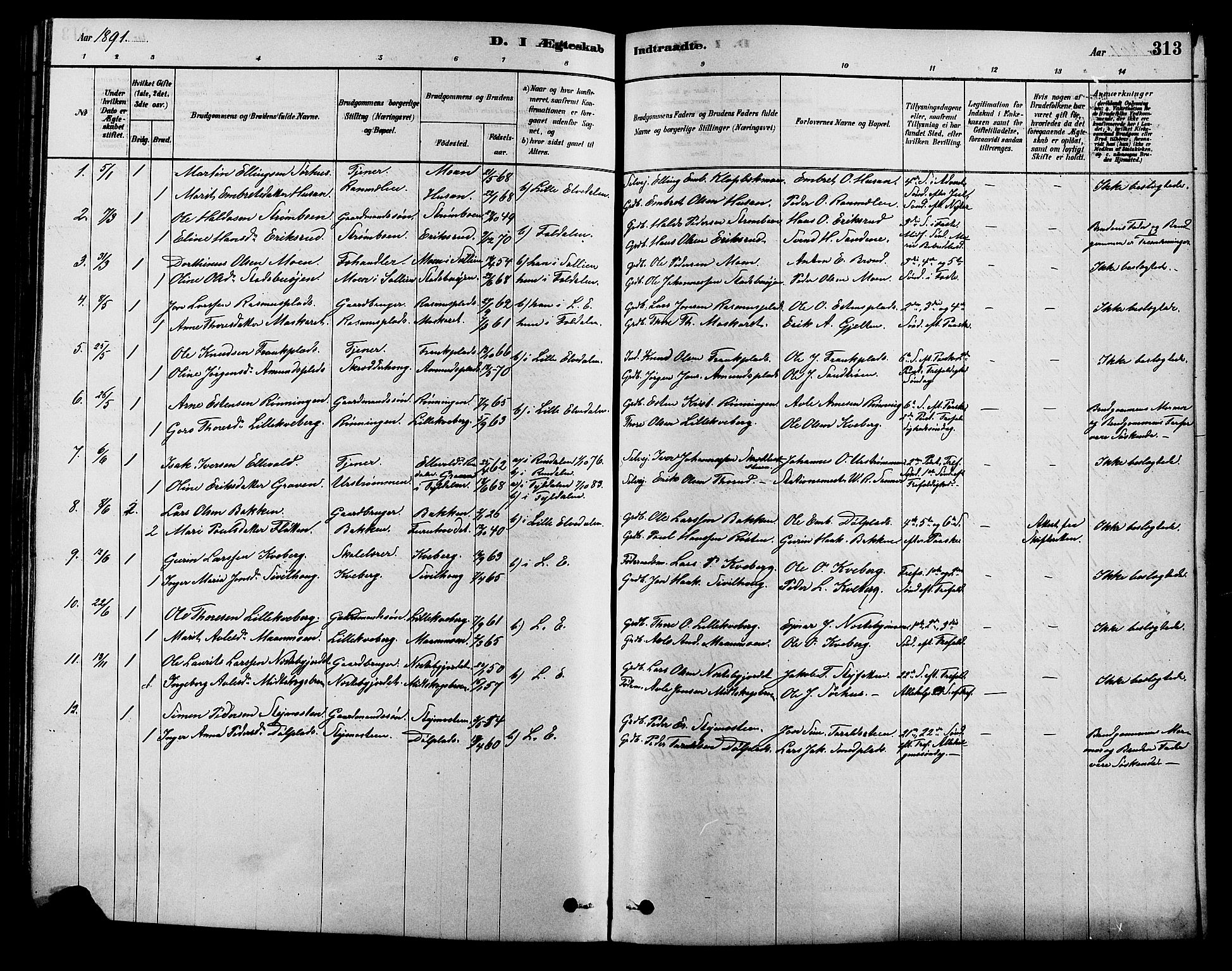 Alvdal prestekontor, SAH/PREST-060/H/Ha/Hab/L0003: Parish register (copy) no. 3, 1878-1907, p. 313