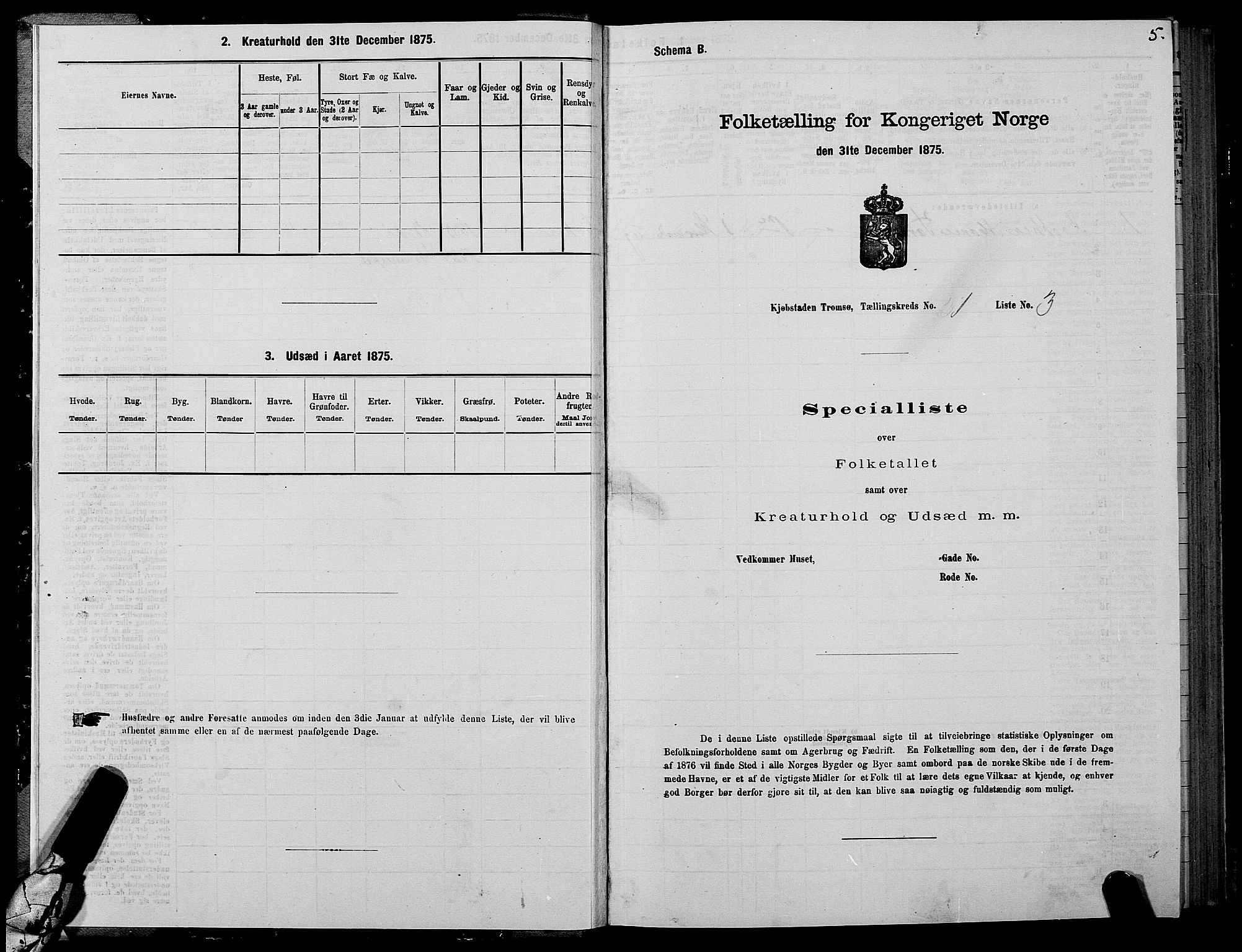 SATØ, 1875 census for 1902P Tromsø, 1875, p. 1005