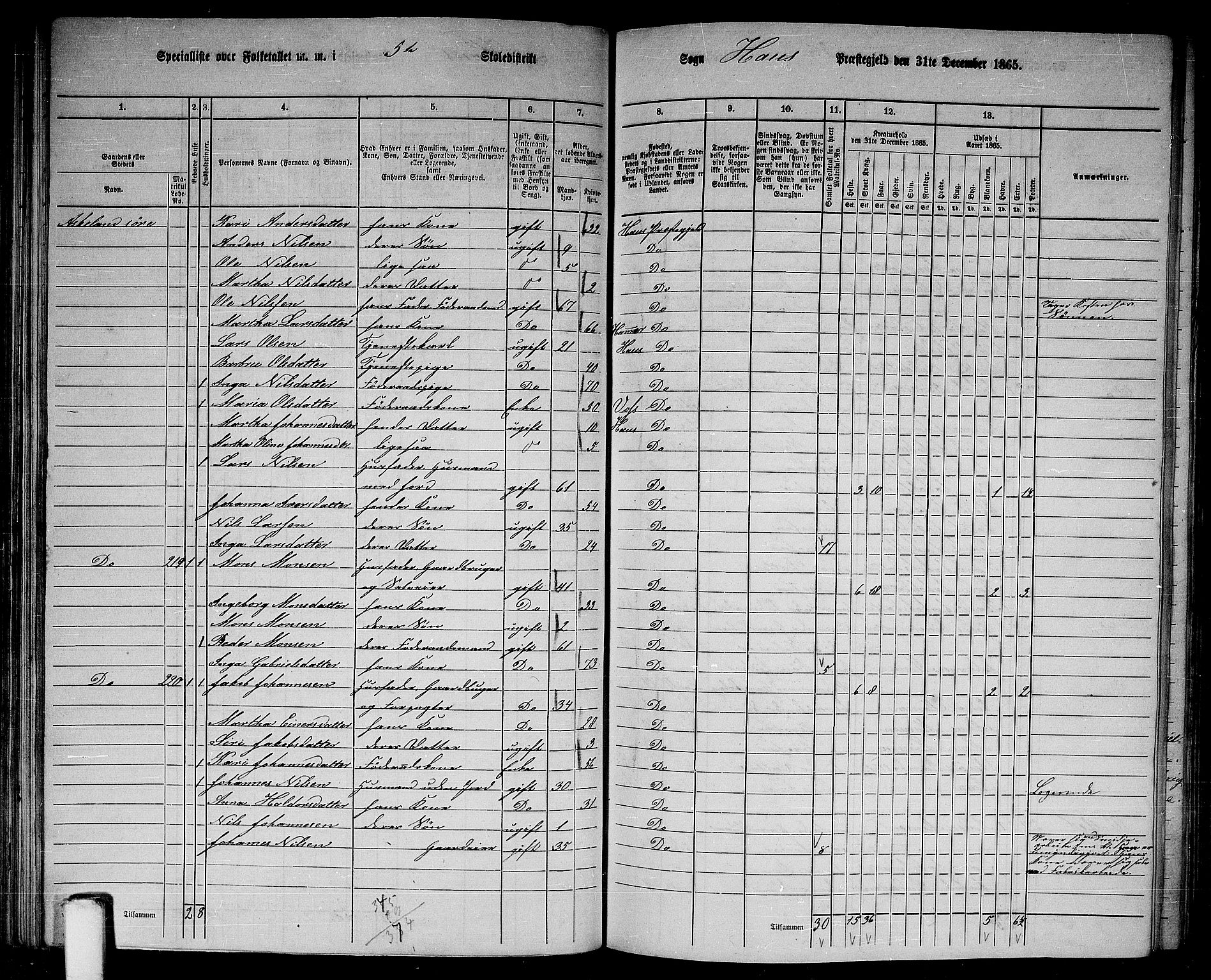 RA, 1865 census for Haus, 1865, p. 107