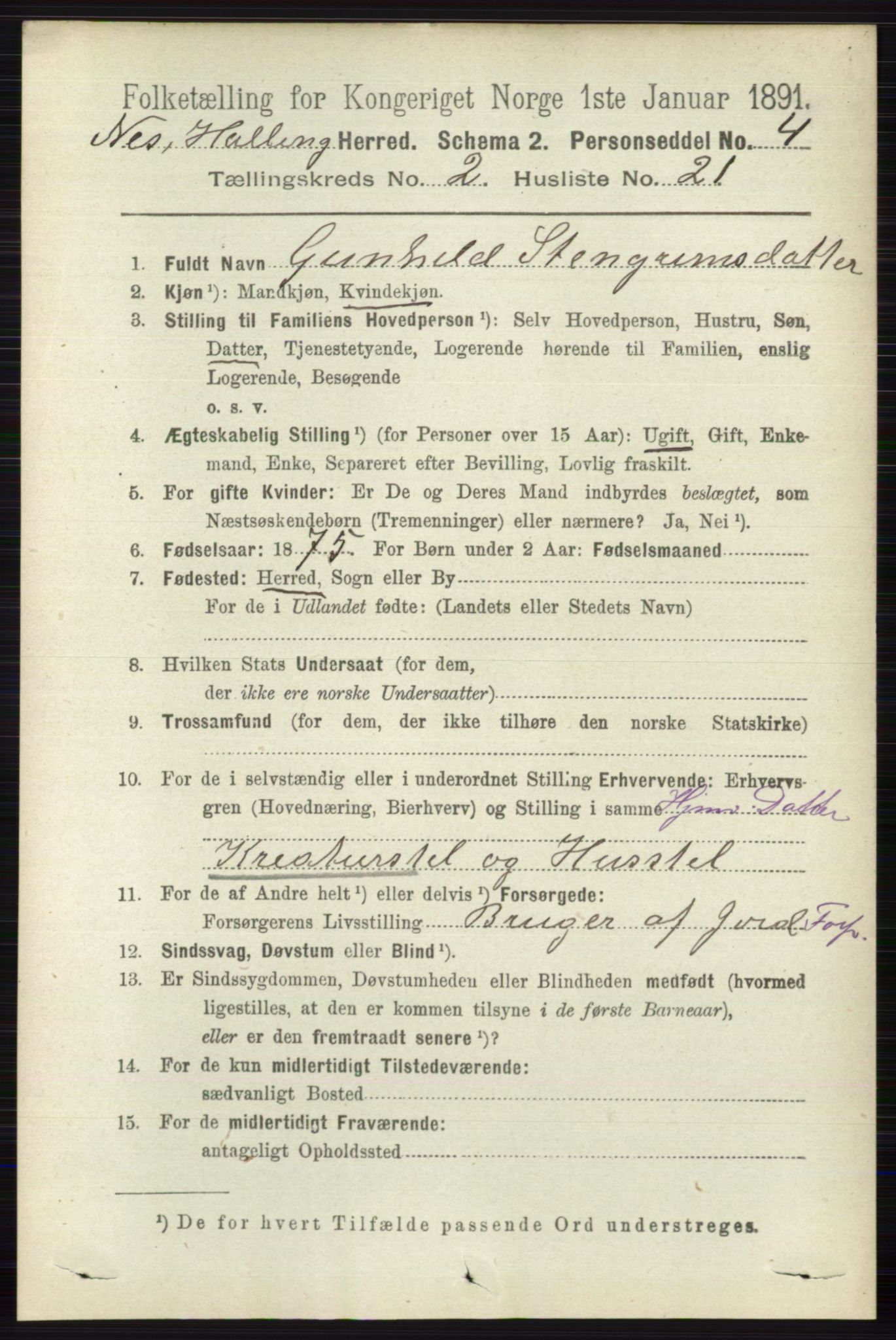 RA, 1891 census for 0616 Nes, 1891, p. 1097