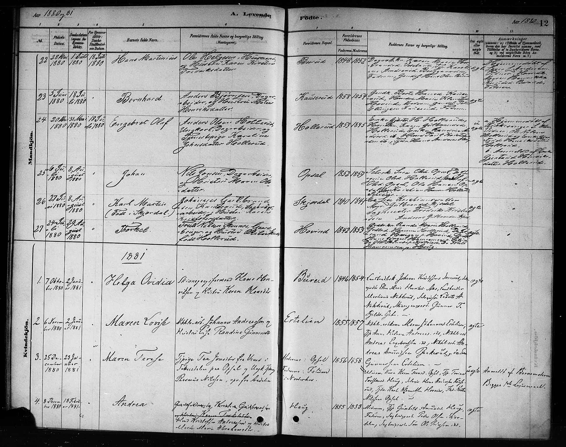 Hole kirkebøker, SAKO/A-228/F/Fb/L0001: Parish register (official) no. II 1, 1878-1891, p. 12