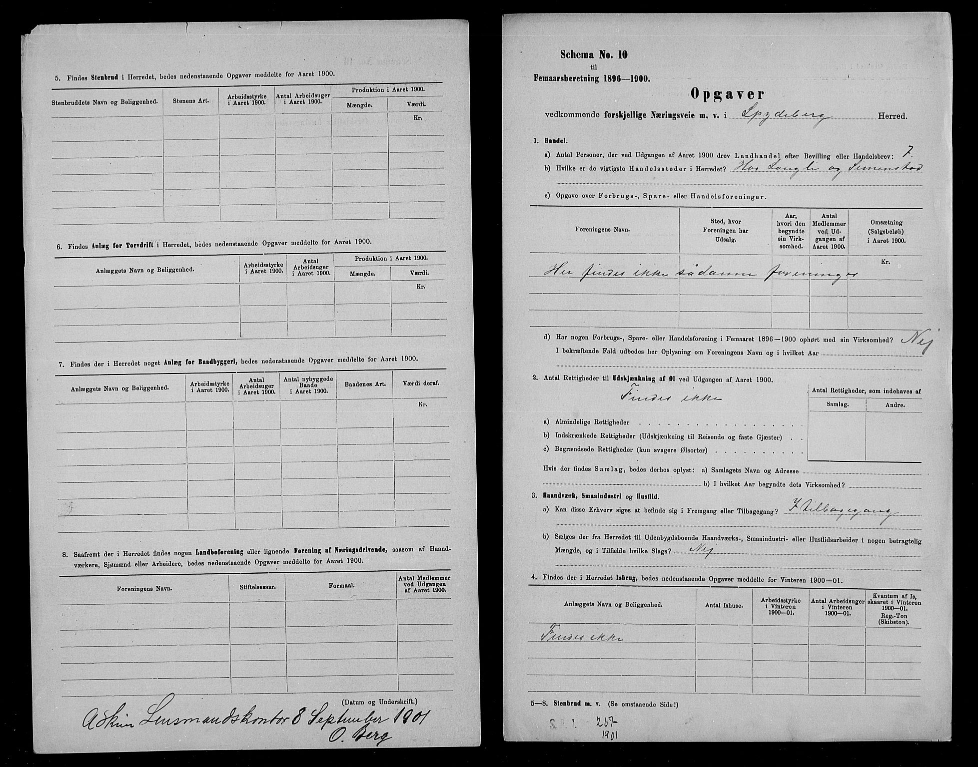 Statistisk sentralbyrå, Næringsøkonomiske emner, Generelt - Amtmennenes femårsberetninger, AV/RA-S-2233/F/Fa/L0092: --, 1896-1900, p. 195