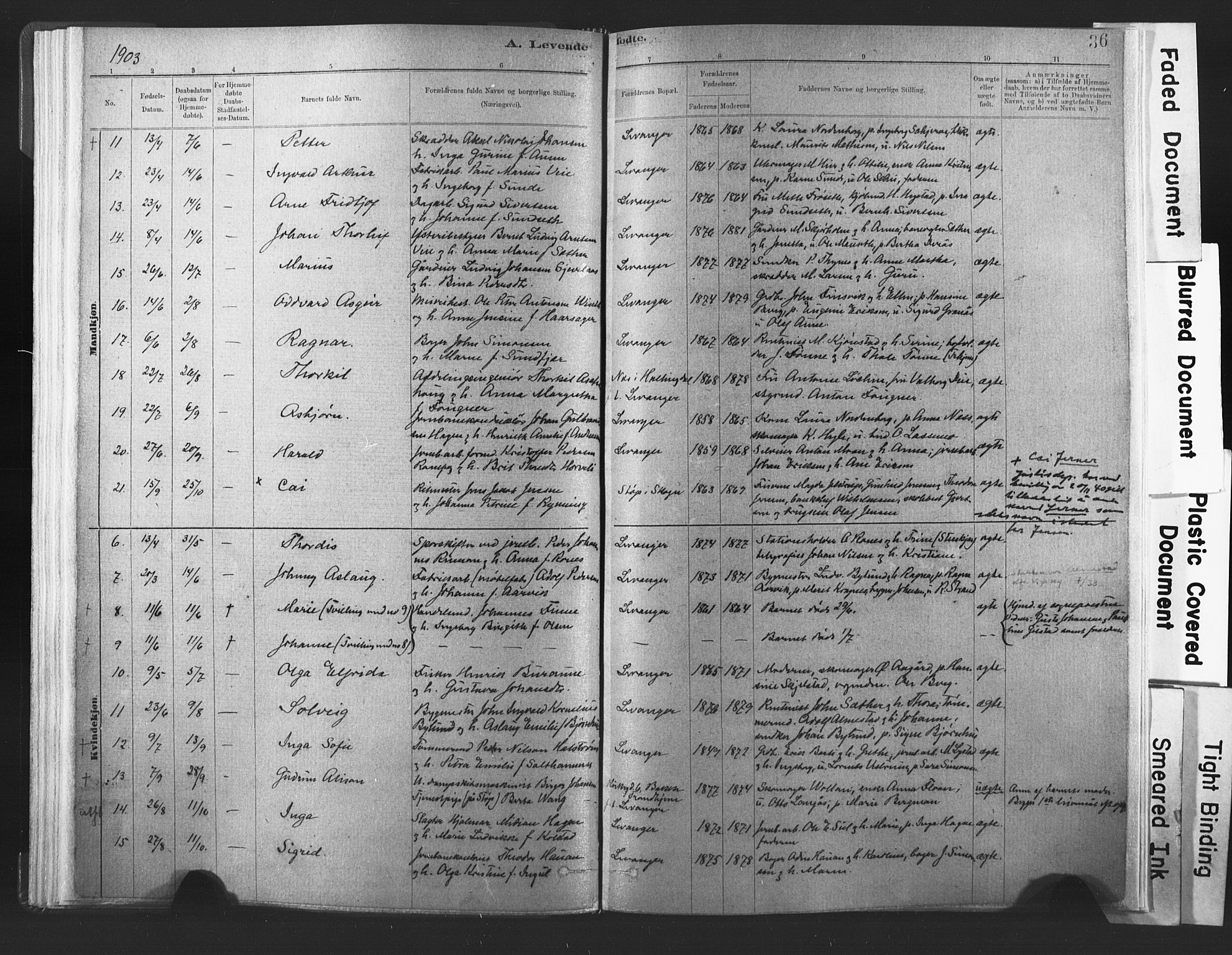 Ministerialprotokoller, klokkerbøker og fødselsregistre - Nord-Trøndelag, SAT/A-1458/720/L0189: Parish register (official) no. 720A05, 1880-1911, p. 36