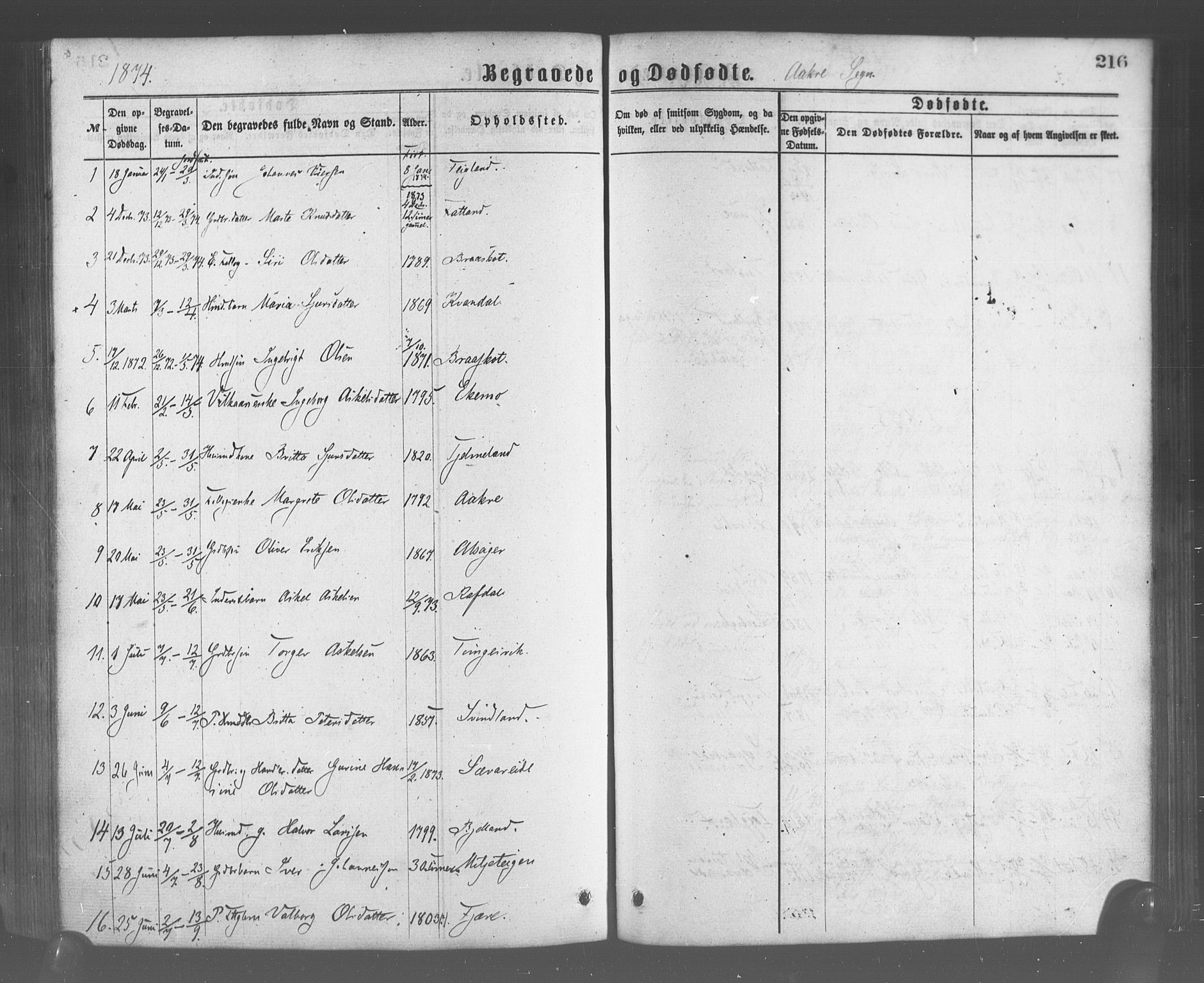 Skånevik sokneprestembete, AV/SAB-A-77801/H/Haa: Parish register (official) no. A 6, 1869-1878, p. 216