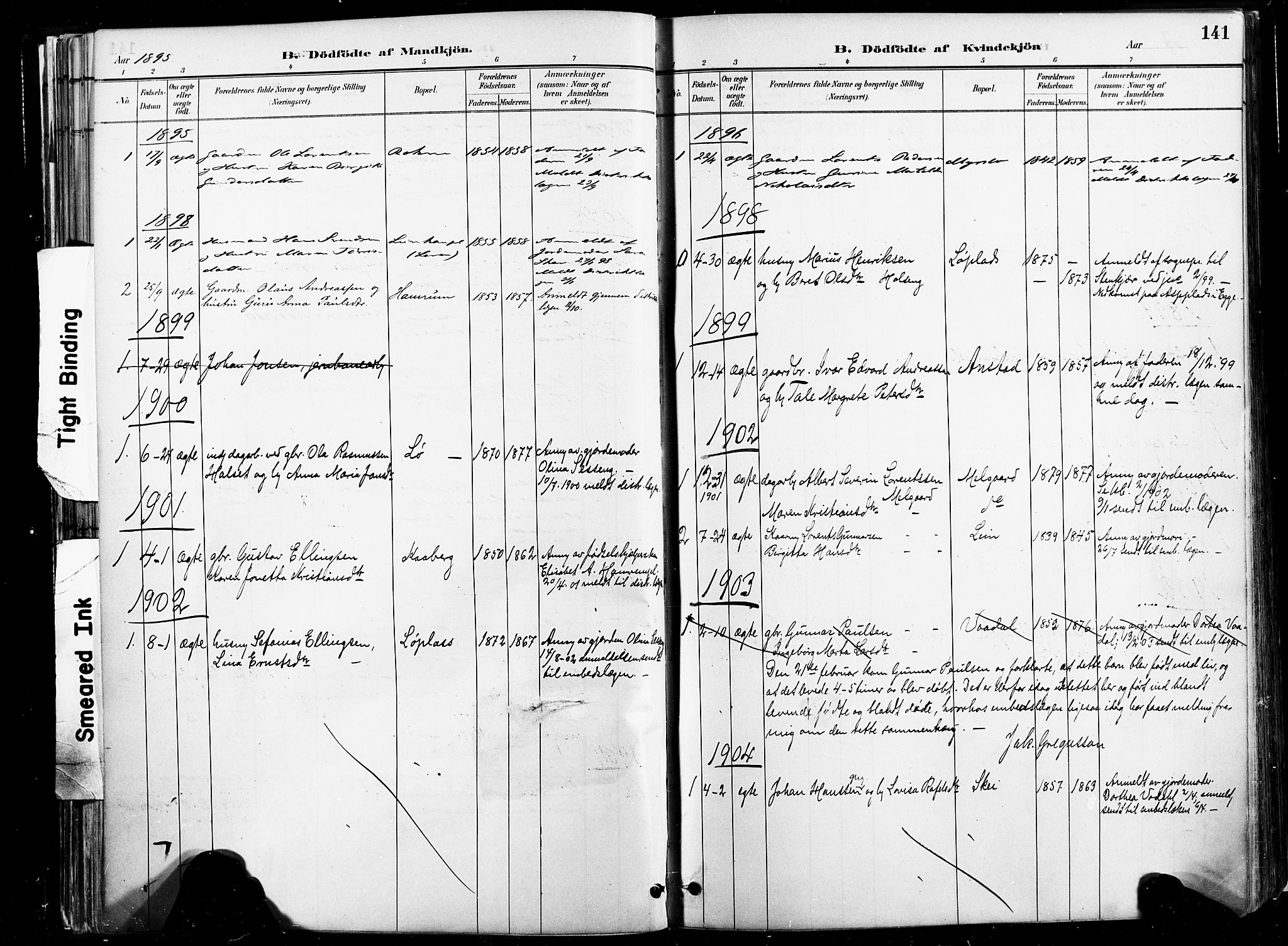 Ministerialprotokoller, klokkerbøker og fødselsregistre - Nord-Trøndelag, SAT/A-1458/735/L0351: Parish register (official) no. 735A10, 1884-1908, p. 141