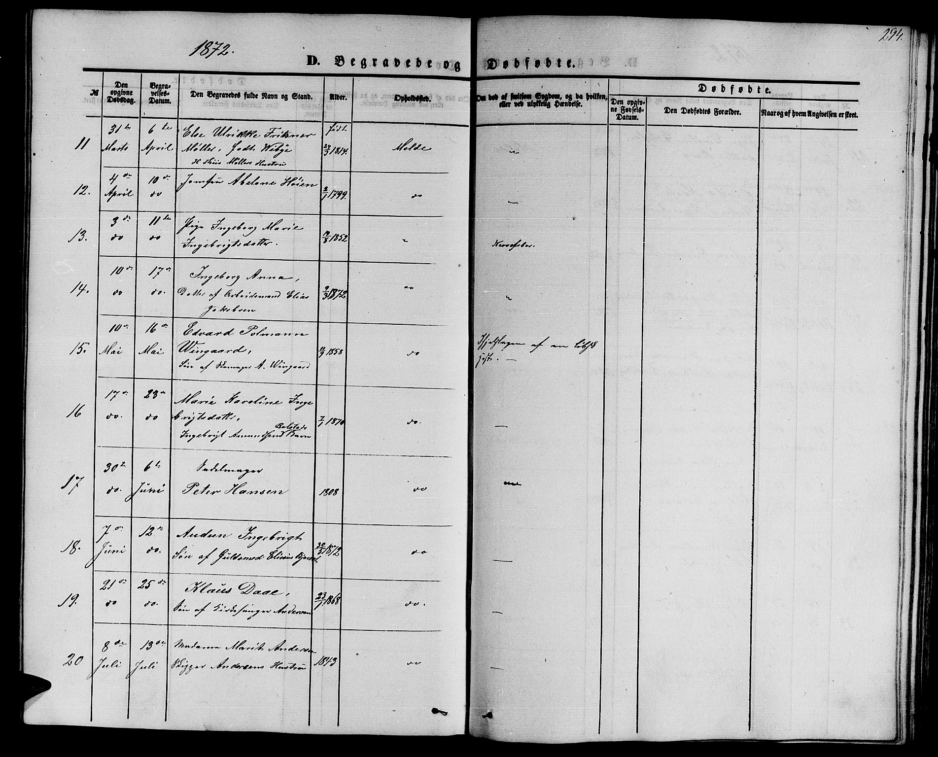 Ministerialprotokoller, klokkerbøker og fødselsregistre - Møre og Romsdal, AV/SAT-A-1454/558/L0701: Parish register (copy) no. 558C02, 1862-1879, p. 294