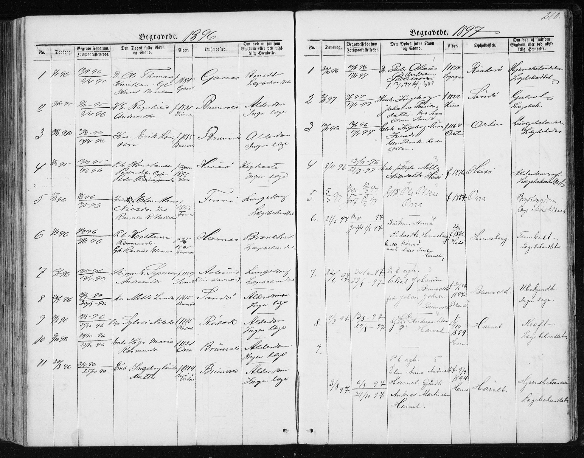 Ministerialprotokoller, klokkerbøker og fødselsregistre - Møre og Romsdal, AV/SAT-A-1454/561/L0732: Parish register (copy) no. 561C02, 1867-1900, p. 260