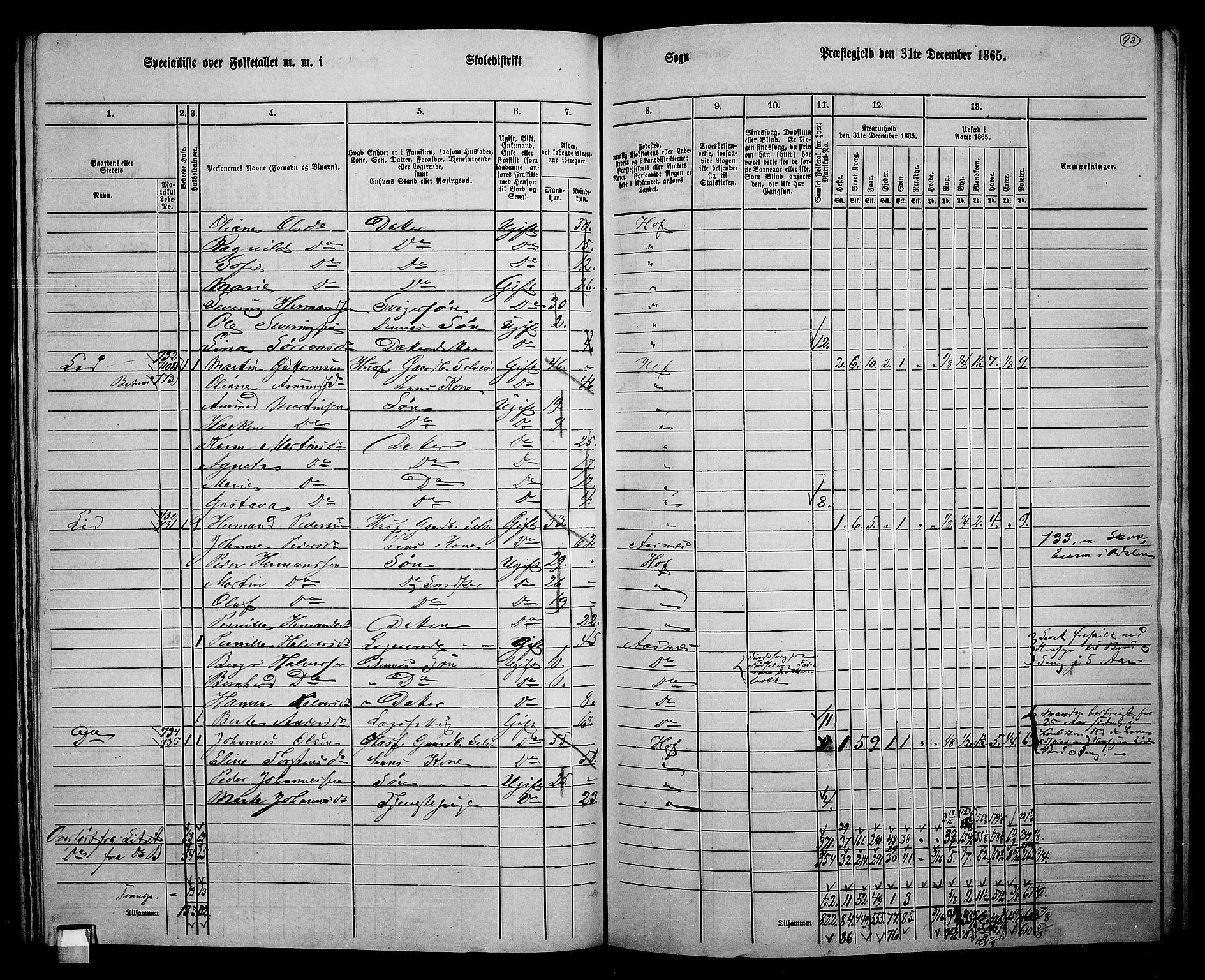 RA, 1865 census for Hof, 1865, p. 94