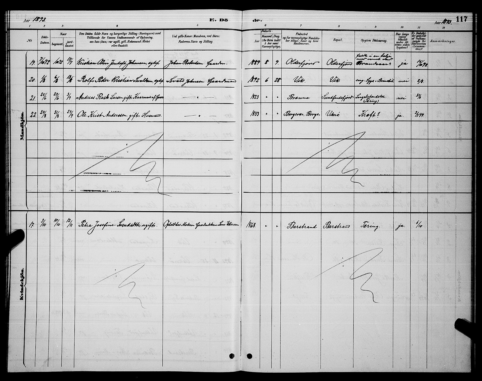 Ministerialprotokoller, klokkerbøker og fødselsregistre - Nordland, AV/SAT-A-1459/876/L1104: Parish register (copy) no. 876C03, 1886-1896, p. 117